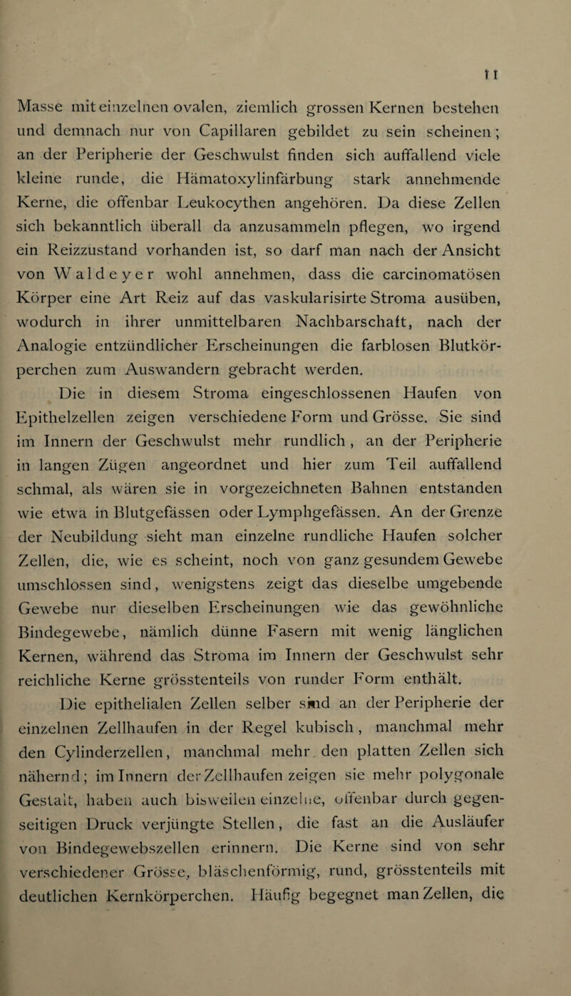 Masse mit einzelnen ovalen, ziemlich grossen Kernen bestehen und demnach nur von Capillaren gebildet zu sein scheinen ; an der Peripherie der Geschwulst finden sich auffallend viele kleine runde, die Hämatoxylinfärbung stark annehmende Kerne, die offenbar Leukocythen angehören. Da diese Zellen sich bekanntlich überall da anzusammeln pflegen, wo irgend ein Reizzustand vorhanden ist, so darf man nach der Ansicht von Walde yer wohl annehmen, dass die carcinomatösen Körper eine Art Reiz auf das vaskularisirte Stroma ausüben, wodurch in ihrer unmittelbaren Nachbarschaft, nach der Analogie entzündlicher Erscheinungen die farblosen Blutkör¬ perchen zum Auswandern gebracht werden. Die in diesem Stroma eingeschlossenen Haufen von Epithelzellen zeigen verschiedene Form und Grösse. Sie sind im Innern der Geschwulst mehr rundlich , an der Peripherie in langen Zügen angeordnet und hier zum Teil auffallend schmal, als wären sie in vorgezeichneten Bahnen entstanden wie etwa in Blutgefässen oder Lymphgefässen. An der Grenze der Neubildung sieht man einzelne rundliche Haufen solcher Zellen, die, wie es scheint, noch von ganz gesundem Gewebe umschlossen sind, wenigstens zeigt das dieselbe umgebende Gewebe nur dieselben Erscheinungen wie das gewöhnliche Bindegewebe, nämlich dünne Fasern mit wenig länglichen Kernen, während das Stroma im Innern der Geschwulst sehr reichliche Kerne grösstenteils von runder Form enthält. Die epithelialen Zellen selber sitid an der Peripherie der einzelnen Zellhaufen in der Regel kubisch , manchmal mehr den Cylinderzellen, manchmal mehr den platten Zellen sich nähernd; im Innern der Zellhaufen zeigen sie mehr polygonale Gestalt, haben auch bisweilen einzelne, offenbar durch gegen¬ seitigen Druck verjüngte Stellen, die fast an die Ausläufer von Bindegewebszellen erinnern. Die Kerne sind von sehr verschiedener Grösse, bläschenförmig, rund, grösstenteils mit deutlichen Kernkörperchen. Häufig begegnet man Zellen, die