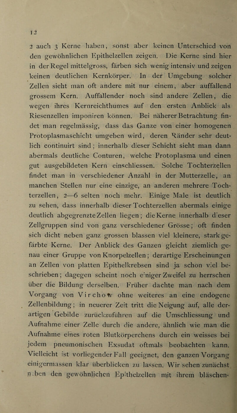 2 auch 3 Kerne haben, sonst aber keinen Unterschied von den gewöhnlichen Epithelzellen zeigen. Die Kerne sind hier in der Regel mittelgross, färben sich wenig intensiv und zeigen keinen deutlichen Kernkörper. In der Umgebung solcher • Zellen sieht man oft andere mit nur einem, aber auffallend grossem Kern. Auffallender noch sind andere Zellen, die wegen ihres Kernreichthumes auf den ersten Anblick als Riesenzellen imponiren können. Bei näherer Betrachtung fin¬ det man regelmässig, dass das Ganze von einer homogenen Protoplasmaschicht umgeben wird, deren Ränder sehr deut¬ lich continuirt sind ; innerhalb dieser Schicht sieht man dann abermals deutliche Conturen, welche Protoplasma und einen gut ausgebildeten Kern einschliessen. Solche Tochterzellen findet man in verschiedener Anzahl in der Mutterzelle, an manchen Stellen nur eine einzige, an anderen mehrere Toch¬ terzellen, 2—6 selten noch mehr. Einige Male ist deutlich zu sehen, dass innerhalb dieser Tochterzellen abermals einige deutlich abgegrenzte Zellen liegen; die Kerne innerhalb d’eser Zellgruppen sind von ganz verschiedener Grösse; oft finden sich dicht neben ganz grossen blassen viel kleinere, stark ge¬ färbte Kerne. Der Anblick des Ganzen gleicht ziemlich ge¬ nau einer Gruppe von Knorpelzellen; derartige Erscheinungen an Zellen von platten Epithelkrebsen sind ja schon viel be¬ schrieben ; dagegen scheint noch ekliger Zweifel zu herrschen über die Bildung derselben. Früher dachte man nach dem Vorgang von Virchotv ohne weiteres an eine endogene Zellenbildung; in neuerer Zeit tritt die Neigung auf, alle der- artigen Gebilde zurückzuführen auf die Umschliessung und Aufnahme einer Zelle durch die andere, ähnlich wie man die Aufnahme eines roten Blutkörperchens durch ein weisses bei jedem pneumonischen Exsudat oftmals beobachten kann. Vielleicht ist vorliegender Fall geeignet, den ganzen Vorgang einigermassen klar überblicken zu lassen. Wir sehen zunächst nähen den gewöhnlichen Epithelzellen rqit ihrem bläschen-