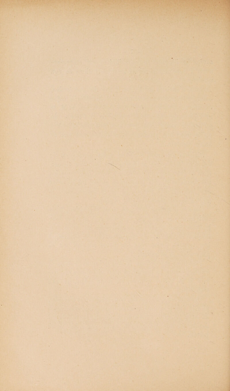 K > l N ^ ) •-^ ■ . >• .■n: ..^ '■.,. l ^ 1 1 ^ I >. ■i: X-r •'. ' / ' ' • '•a^’ • > FfZfi: ‘ i ( l ‘JS % f.r • «i. < \ ; / »s*