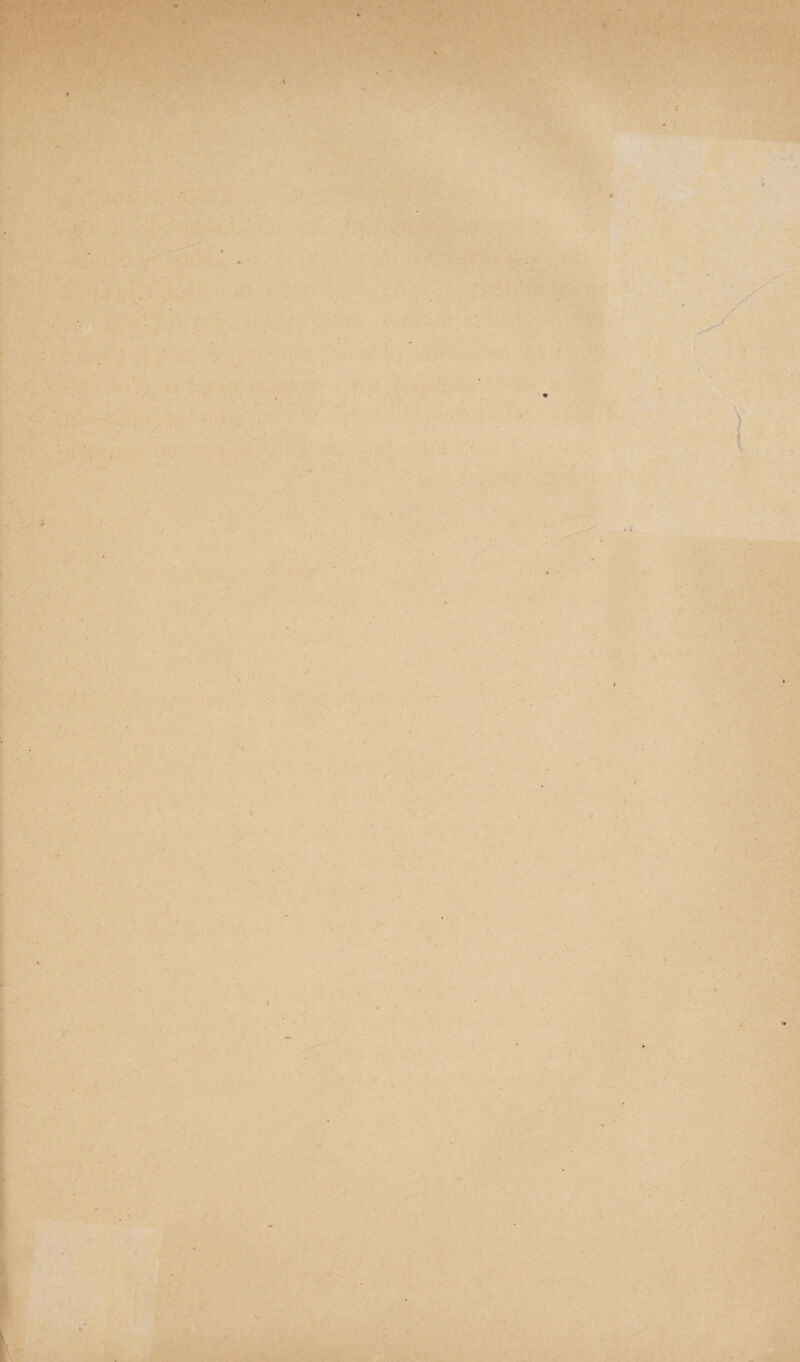 ■■'-i . -• - É».*.-* Ifc ■ '• J I %■■ ' t V.-> . ' ' ' •) ■ ; ''I