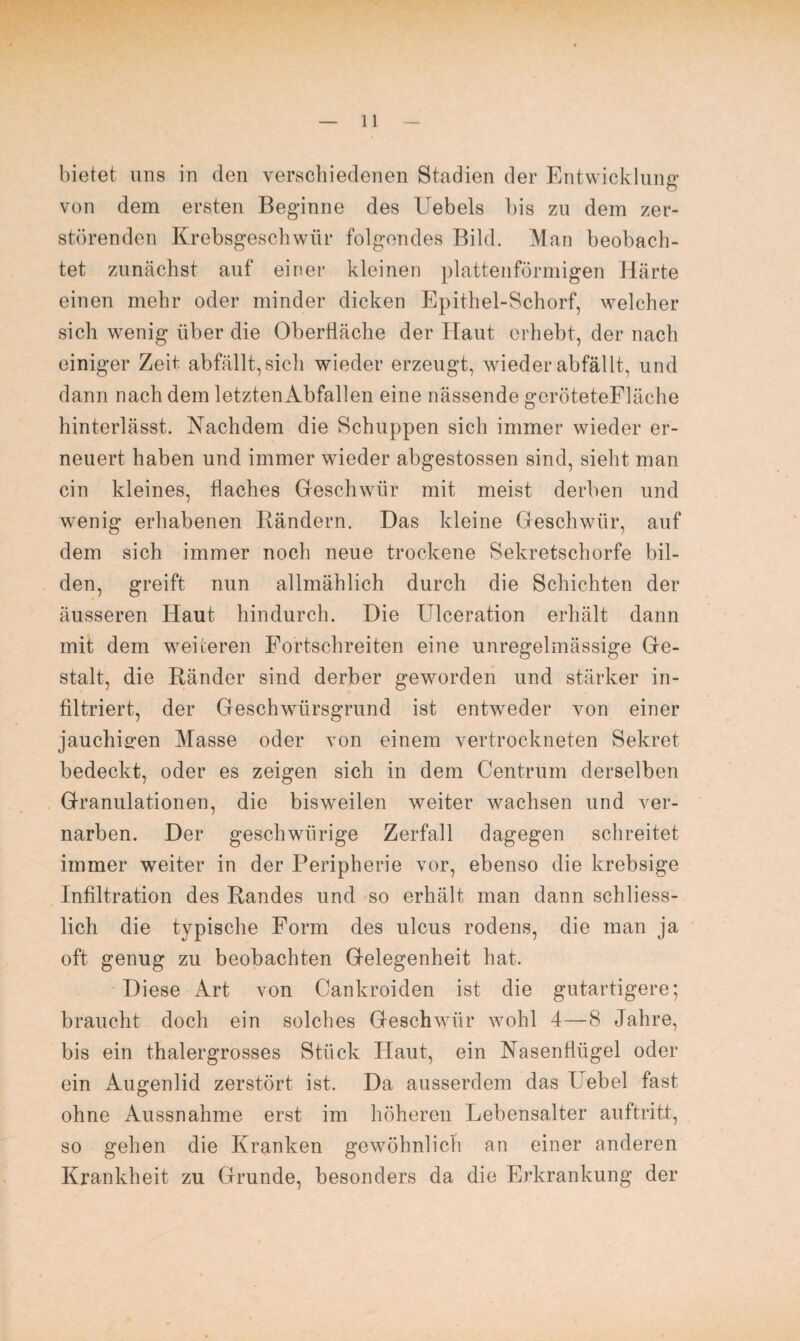 bietet uns in den verschiedenen Stadien der Entwicklung von dem ersten Beginne des Uebels bis zu dem zer¬ störenden Krebsgeschwür folgendes Bild. Man beobach¬ tet zunächst auf einer kleinen plattenförmigen Härte einen mehr oder minder dicken Epithel-Schorf, welcher sich wenig über die Oberfläche der Haut erhebt, der nach einiger Zeit abfällt,sich wieder erzeugt, wiederabfällt, und dann nach dem letztenAbfallen eine nässende geröteteFläche hinterlässt. Nachdem die Schuppen sich immer wieder er¬ neuert haben und immer wieder abgestossen sind, sieht man ein kleines, flaches Geschwür mit meist derben und wenig erhabenen Bändern. Das kleine Geschwür, auf dem sich immer noch neue trockene Sekretschorfe bil¬ den, greift nun allmählich durch die Schichten der äusseren Haut hindurch. Die Ulceration erhält dann mit dem weiteren Fortschreiten eine unregelmässige Ge¬ stalt, die Ränder sind derber geworden und stärker in¬ filtriert, der Geschwürsgrund ist entweder von einer jauchigen Masse oder von einem vertrockneten Sekret bedeckt, oder es zeigen sich in dem Centrum derselben Granulationen, die bisweilen weiter wachsen und ver¬ narben. Der geschwürige Zerfall dagegen schreitet immer weiter in der Peripherie vor, ebenso die krebsige Infiltration des Randes und so erhält man dann schliess¬ lich die typische Form des ulcus rodens, die man ja oft genug zu beobachten Gelegenheit hat. Diese Art von Cankroiden ist die gutartigere; braucht doch ein solches Geschwür wohl 4—8 Jahre, bis ein thalergrosses Stück Haut, ein Nasenflügel oder ein Augenlid zerstört ist. Da ausserdem das F ebel fast ohne Aussnahme erst im höheren Lebensalter auftritt, so gehen die Kranken gewöhnlich an einer anderen Krankheit zu Grunde, besonders da die Erkrankung der