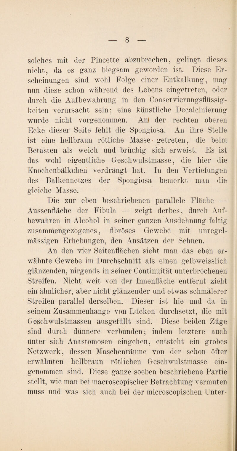 solches mit der Pincette abzubrechen, gelingt dieses nicht, da es ganz biegsam geworden ist. Diese Er¬ scheinungen sind wohl Folge einer Entkalkung, mag nun diese schon während des Lebens eingetreten, oder durch die Aufbewahrung in den Conservierungsflüssig- keiten verursacht sein; eine künstliche Decalcinierung wurde nicht vorgenommen. Am der rechten oberen Ecke dieser Seite fehlt die Spongiosa. An ihre Stelle ist eine hellbraun rötliche Masse • getreten, die beim Betasten als weich und brüchig sich erweist. Es ist das wohl eigentliche Geschwulstmasse, die hier die Knochenbälkchen verdrängt hat. In den Vertiefungen des Balkennetzes der Spongiosa bemerkt man die gleiche Masse. Die zur eben beschriebenen parallele Fläche — Aussenfläche der Fibula — zeigt derbes, durch Auf¬ bewahren in Alcohol in seiner ganzen Ausdehnung faltig zusammengezogenes, fibröses Gewebe mit unregel¬ mässigen Erhebungen, den Ansätzen der Sehnen. An den vier Seitenflächen sieht man das eben er¬ wähnte Gewebe im Durchschnitt als einen gelbweisslich glänzenden, nirgends in seiner Continuität unterbrochenen Streifen. Nicht weit von der Innenfläche entfernt zieht ein ähnlicher, aber nicht glänzender und etwas schmälerer Streifen parallel derselben. Dieser ist hie und da in seinem Zusammenhänge von Lücken durchsetzt, die mit Geschwulstmassen ausgefüllt sind. Diese beiden Züge sind durch dünnere verbunden; indem letztere auch unter sich Anastomosen eingehen, entsteht ein grobes Netzwerk, dessen Maschenräume von der schon öfter erwähnten hellbraun rötlichen GeschAvulstmasse ein¬ genommen sind. Diese ganze soeben beschriebene Partie stellt, wie man bei macroscopischer Betrachtung vermuten muss und was sich auch bei der microscopischen Unter-