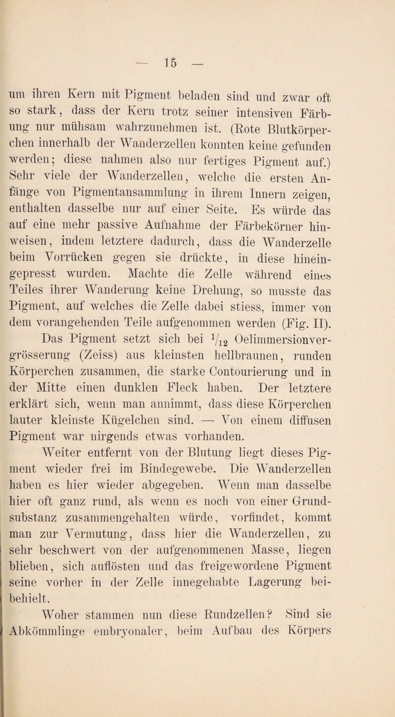 um ihren Kern mit Pigment beladen sind und zwar oft so stark, dass der Kern trotz seiner intensiven Färb¬ ung1 nur mühsam wahrzunehmen ist. (Rote Blutkörper¬ chen innerhalb der AK ariderzellen konnten keine gefunden werden; diese nahmen also nur fertiges Pigment auf.) Sehr viele der Wanderzellen, welche die ersten An¬ fänge von Pigmentansammlung in ihrem Innern zeigen, enthalten dasselbe nur auf einer Seite. Es würde das auf eine mehr passive Aufnahme der Färbekörner hin- weisen, indem letztere dadurch, dass die Wanderzelle beim Vorrücken gegen sie drückte, in diese hinein¬ gepresst wurden. Machte die Zelle während eines Teiles ihrer Wanderung keine Drehung, so musste das Pigment, auf welches die Zelle dabei stiess, immer von dem vorangehenden Teile aufgenommen werden (Fig. II). Das Pigment setzt sich bei v» Oelimmersionver- grösserung (Zeiss) aus kleinsten hellbraunen, runden Körperchen zusammen, die starke Contourierung und in der Mitte einen dunklen Fleck haben. Der letztere erklärt sich, wenn man annimmt, dass diese Körperchen lauter kleinste Kügelchen sind. — Von einem diffusen Pigment war nirgends etwas vorhanden. Weiter entfernt von der Blutung liegt dieses Pig¬ ment wieder frei im Bindegewebe. Die Wanderzellen haben es hier wieder abgegeben. Wenn man dasselbe hier oft ganz rund, als wenn es noch von einer Grund¬ substanz zusammengehalten würde, vorfindet, kommt man zur Vermutung, dass hier die Wanderzellen, zu sehr beschwert von der aufgenommenen Masse, liegen blieben, sich auflösten und das freigewordene Pigment seine vorher in der Zelle innegehabte Lagerung bei¬ behielt. Woher stammen nun diese Rundzellen P Sind sie Abkömmlinge embryonaler, beim Aufbau des Körpers