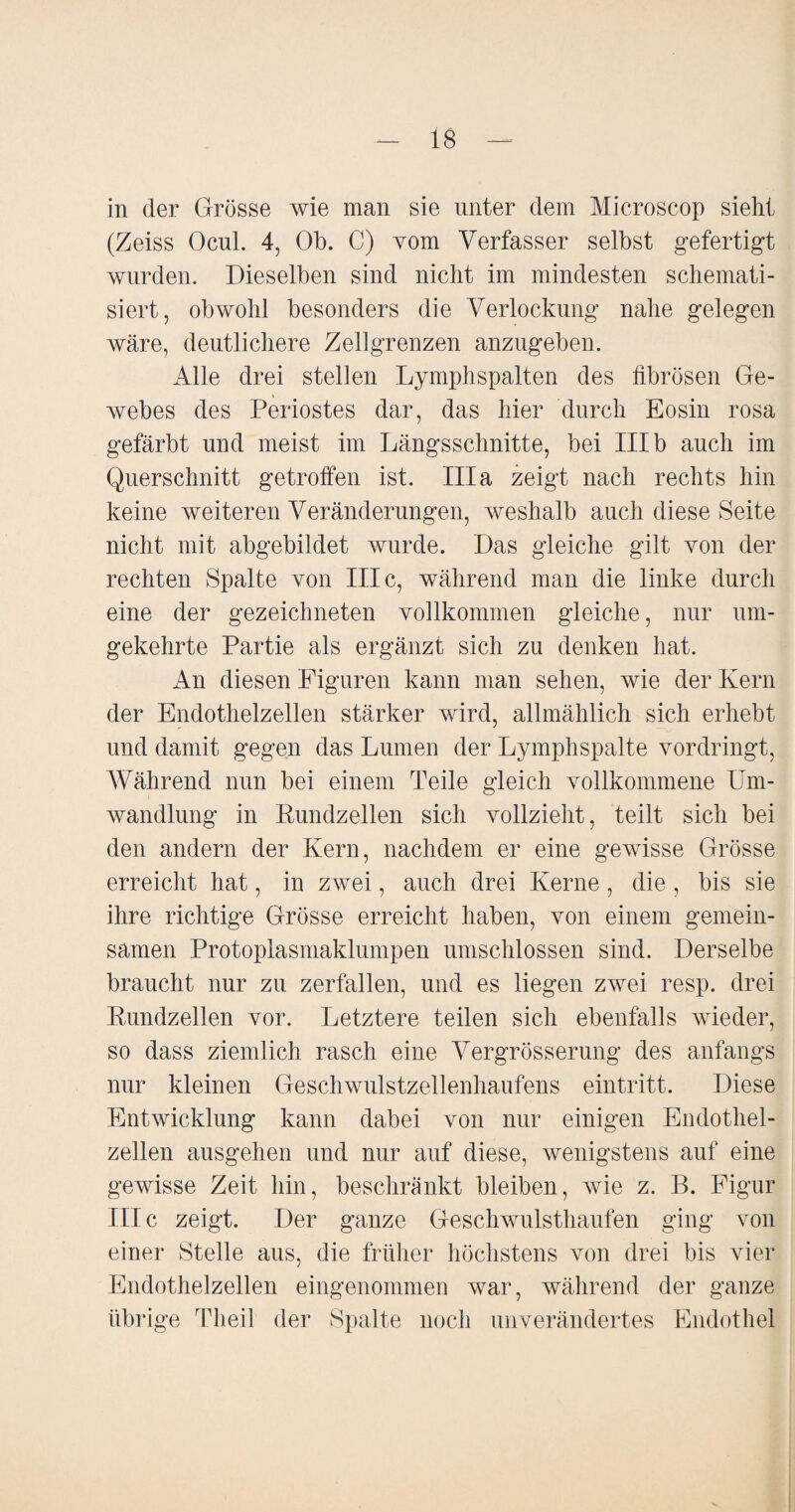 in der Grösse wie man sie unter dem Microscop sieht (Zeiss Ocul. 4, Ob. C) vom Verfasser selbst gefertigt wurden. Dieselben sind nicht im mindesten schemati¬ siert, obwohl besonders die Verlockung nahe gelegen wäre, deutlichere Zellgrenzen anzugeben. Alle drei stellen Lymphspalten des fibrösen Ge¬ webes des Periostes dar, das hier durch Eosin rosa gefärbt und meist im Längsschnitte, bei III b auch im Querschnitt getroffen ist. lila zeigt nach rechts hin keine weiteren Veränderungen, weshalb auch diese Seite nicht mit abgebildet wurde. Das gleiche gilt von der rechten Spalte von III c, während man die linke durch eine der gezeichneten vollkommen gleiche, nur um¬ gekehrte Partie als ergänzt sich zu denken hat. An diesen Figuren kann man sehen, wie der Kern der Endothelzellen stärker wird, allmählich sich erhebt und damit gegen das Lumen der Lymphspalte vordringt, AVährend nun bei einem Teile gleich vollkommene Um¬ wandlung in Pundzellen sich vollzieht, teilt sich bei den andern der Kern, nachdem er eine gewisse Grösse erreicht hat, in zAvei, auch drei Kerne, die , bis sie ihre richtige Grösse erreicht haben, von einem gemein¬ samen Protoplasmaklumpen umschlossen sind. Derselbe braucht nur zu zerfallen, und es liegen zwei resp. drei Pundzellen vor. Letztere teilen sich ebenfalls wieder, so dass ziemlich rasch eine Vergrösserung des anfangs nur kleinen Geschwulstzellenhaufens eintritt. Diese Entwicklung kann dabei von nur einigen Endothel¬ zellen ausgehen und nur auf diese, wenigstens auf eine gewisse Zeit hin, beschränkt bleiben, wie z. B. Figur III c zeigt. Der ganze Geschwulsthaufen ging von einer Stelle aus, die früher höchstens von drei bis vier Endothelzellen eingenommen war, während der ganze übrige Theil der Spalte noch unverändertes Endothel