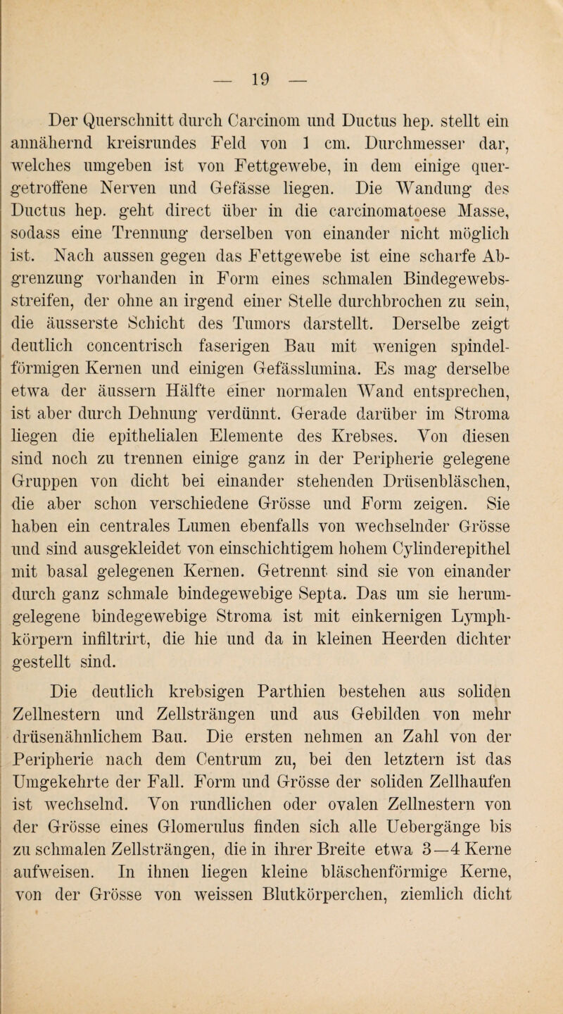 Der Querschnitt durch Carcinom und Ductus hep. stellt ein annähernd kreisrundes Feld von 1 cm. Durchmesser dar, welches umgehen ist von Fettgewebe, in dem einige quer¬ getroffene Nerven und Gefässe liegen. Die Wandung des Ductus hep. geht direct über in die carcinomatoese Masse, sodass eine Trennung derselben von einander nicht möglich ist. Nach aussen gegen das Fettgewebe ist eine scharfe Ab¬ grenzung vorhanden in Form eines schmalen Bindegewebs- streifen, der ohne an irgend einer Stelle durchbrochen zu sein, die äusserste Schicht des Tumors darstellt. Derselbe zeigt deutlich concentrisch faserigen Bau mit wenigen spindel¬ förmigen Kernen und einigen Gefässlumina. Es mag derselbe etwa der äussern Hälfte einer normalen Wand entsprechen, ist aber durch Dehnung verdünnt. Gerade darüber im Stroma liegen die epithelialen Elemente des Krebses. Von diesen sind noch zu trennen einige ganz in der Peripherie gelegene Gruppen von dicht bei einander stehenden Drüsenbläschen, die aber schon verschiedene Grösse und Form zeigen. Sie haben ein centrales Lumen ebenfalls von wechselnder Grösse und sind ausgekleidet von einschichtigem hohem Cylinderepithel mit basal gelegenen Kernen. Getrennt sind sie von einander durch ganz schmale bindegewebige Septa. Das um sie herum¬ gelegene bindegewebige Stroma ist mit einkernigen Lymph- körpern infiltrirt, die hie und da in kleinen Heerden dichter gestellt sind. Die deutlich krebsigen Parthien bestehen aus soliden Zellnestern und Zellsträngen und aus Gebilden von mehr drüsenähnlichem Bau. Die ersten nehmen an Zahl von der Peripherie nach dem Centrum zu, bei den letztem ist das Umgekehrte der Fall. Form und Grösse der soliden Zellhaufen ist wechselnd. Von rundlichen oder ovalen Zellnestern von der Grösse eines Glomerulus finden sich alle Uebergänge bis zu schmalen Zellsträngen, die in ihrer Breite etwa 3—4 Kerne aufweisen. In ihnen liegen kleine bläschenförmige Kerne, von der Grösse von weissen Blutkörperchen, ziemlich dicht