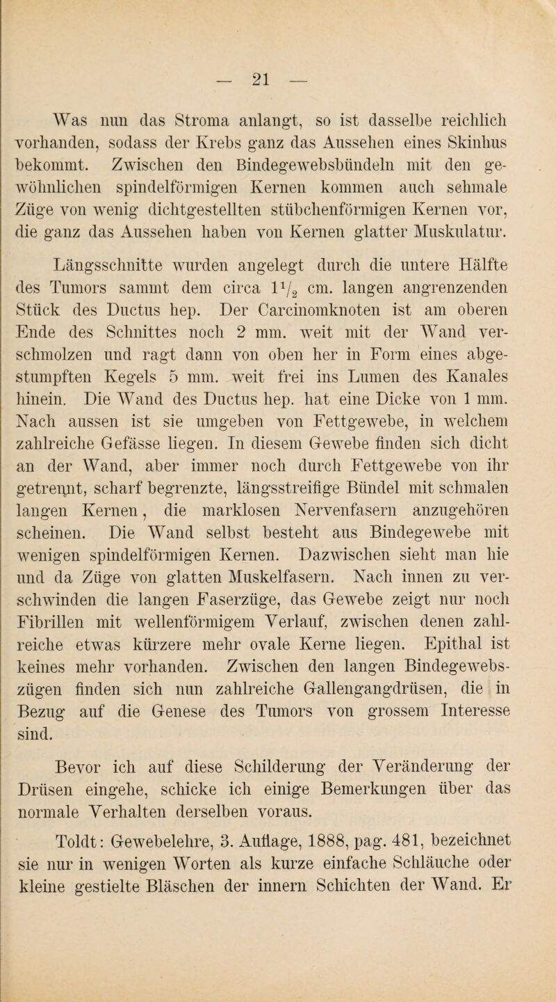 Was nun das Stroma anlangt, so ist dasselbe reichlich vorhanden, sodass der Krebs ganz das Aussehen eines Skinhus bekommt. Zwischen den Bindegewebsbiindeln mit den ge¬ wöhnlichen spindelförmigen Kernen kommen auch schmale Züge von wenig dichtgestellten stübchenförmigen Kernen vor, die ganz das Aussehen haben von Kernen glatter Muskulatur. Längsschnitte wurden angelegt durch die untere Hälfte des Tumors sammt dem circa D/2 cm. langen angrenzenden Stück des Ductus hep. Der Carcinomknoten ist am oberen Ende des Schnittes noch 2 mm. weit mit der Wand ver¬ schmolzen und ragt dann von oben her in Form eines abge¬ stumpften Kegels 5 mm. weit frei ins Lumen des Kanales hinein. Die Wand des Ductus hep. hat eine Dicke von 1 mm. Nach aussen ist sie umgeben von Fettgewebe, in welchem zahlreiche Gefässe liegen. In diesem Gewebe finden sich dicht an der Wand, aber immer noch durch Fettgewebe von ihr getrennt, scharf begrenzte, längsstreifige Bündel mit schmalen langen Kernen, die marklosen Nervenfasern anzugehören scheinen. Die Wand selbst besteht aus Bindegewebe mit wenigen spindelförmigen Kernen. Dazwischen sieht man hie und da Züge von glatten Muskelfasern. Nach innen zu ver¬ schwinden die langen Faserzüge, das Gewebe zeigt nur noch Fibrillen mit wellenförmigem Verlauf, zwischen denen zahl¬ reiche etwas kürzere mehr ovale Kerne liegen. Epithal ist keines mehr vorhanden. Zwischen den langen Bindegewebs- ziigen finden sich nun zahlreiche Gallengangdrüsen, die in Bezug auf die Genese des Tumors von grossem Interesse sind. Bevor ich auf diese Schilderung der Veränderung der Drüsen eingehe, schicke ich einige Bemerkungen über das normale Verhalten derselben voraus. Toldt: Gewebelehre, 3. Aufiage, 1888, pag. 481, bezeichnet sie nur in wenigen Worten als kurze einfache Schläuche oder kleine gestielte Bläschen der innern Schichten der Wand. Er