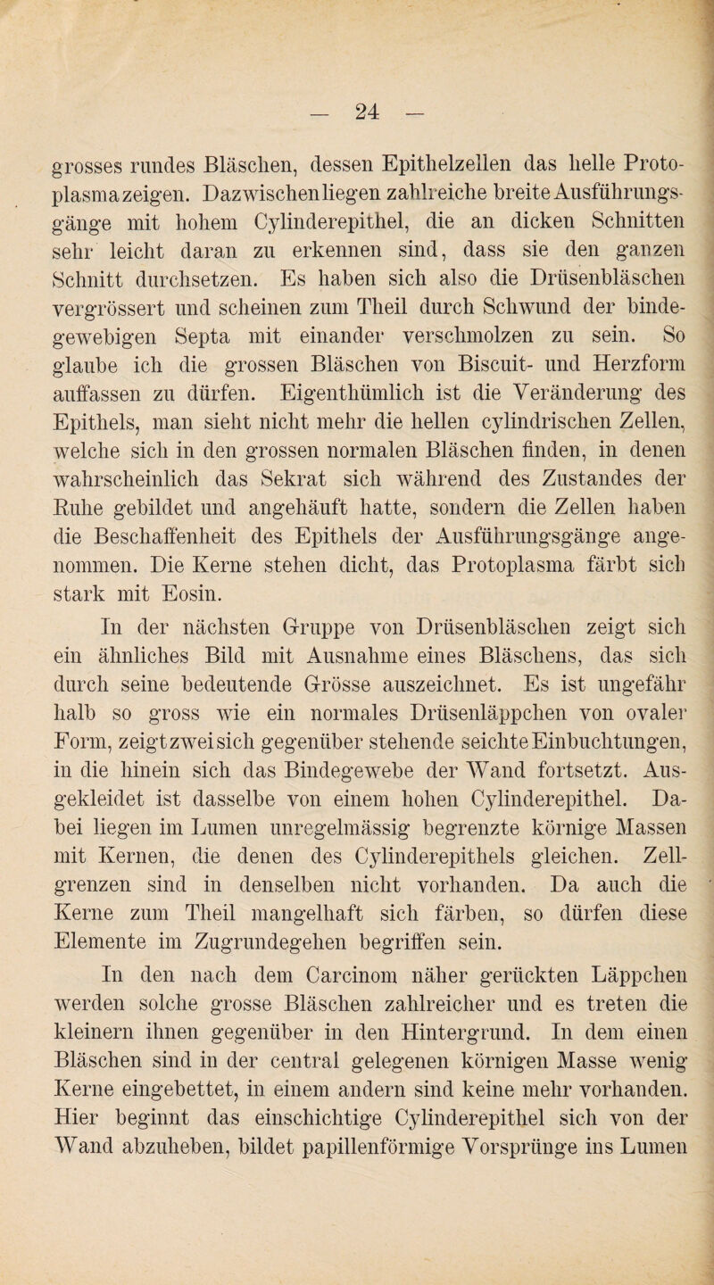 grosses rundes Bläschen, dessen Epithelzellen das helle Proto¬ plasmazeigen. Dazwischen liegen zahlreiche breite Ausführungs- gänge mit hohem Cylinderepithel, die an dicken Schnitten sehr leicht daran zu erkennen sind, dass sie den ganzen Schnitt durchsetzen. Es haben sich also die Drüsenbläschen vergrössert und scheinen zum Theil durch Schwund der binde¬ gewebigen Septa mit einander verschmolzen zu sein. So glaube ich die grossen Bläschen von Biscuit- und Herzform auffassen zu dürfen. Eigenthümlich ist die Veränderung des Epithels, man sieht nicht mehr die hellen cylindrischen Zellen, welche sich in den grossen normalen Bläschen finden, in denen wahrscheinlich das Sekrat sich während des Zustandes der Ruhe gebildet und angehäuft hatte, sondern die Zellen haben die Beschaffenheit des Epithels der Ausführungsgänge ange¬ nommen. Die Kerne stehen dicht, das Protoplasma färbt sich stark mit Eosin. In der nächsten Gruppe von Drüsenbläschen zeigt sich ein ähnliches Bild mit Ausnahme eines Bläschens, das sich durch seine bedeutende Grösse auszeichnet. Es ist ungefähr halb so gross wie ein normales Drüsenläppchen von ovaler Form, zeigt zwei sich gegenüber stehende seichte Einbuchtungen, in die hinein sich das Bindegewebe der Wand fortsetzt. Aus¬ gekleidet ist dasselbe von einem hohen Cylinderepithel. Da¬ bei liegen im Lumen unregelmässig begrenzte körnige Massen mit Kernen, die denen des Cylinderepithels gleichen. Zell¬ grenzen sind in denselben nicht vorhanden. Da auch die Kerne zum Theil mangelhaft sich färben, so dürfen diese Elemente im Zugrundegehen begriffen sein. In den nach dem Carcinom näher gerückten Läppchen werden solche grosse Bläschen zahlreicher und es treten die kleinern ihnen gegenüber in den Hintergrund. In dem einen Bläschen sind in der central gelegenen körnigen Masse wenig Kerne eingebettet, in einem andern sind keine mehr vorhanden. Hier beginnt das einschichtige Cylinderepithel sich von der Wand abzuheben, bildet papillenförmige Vorsprünge ins Lumen Jar