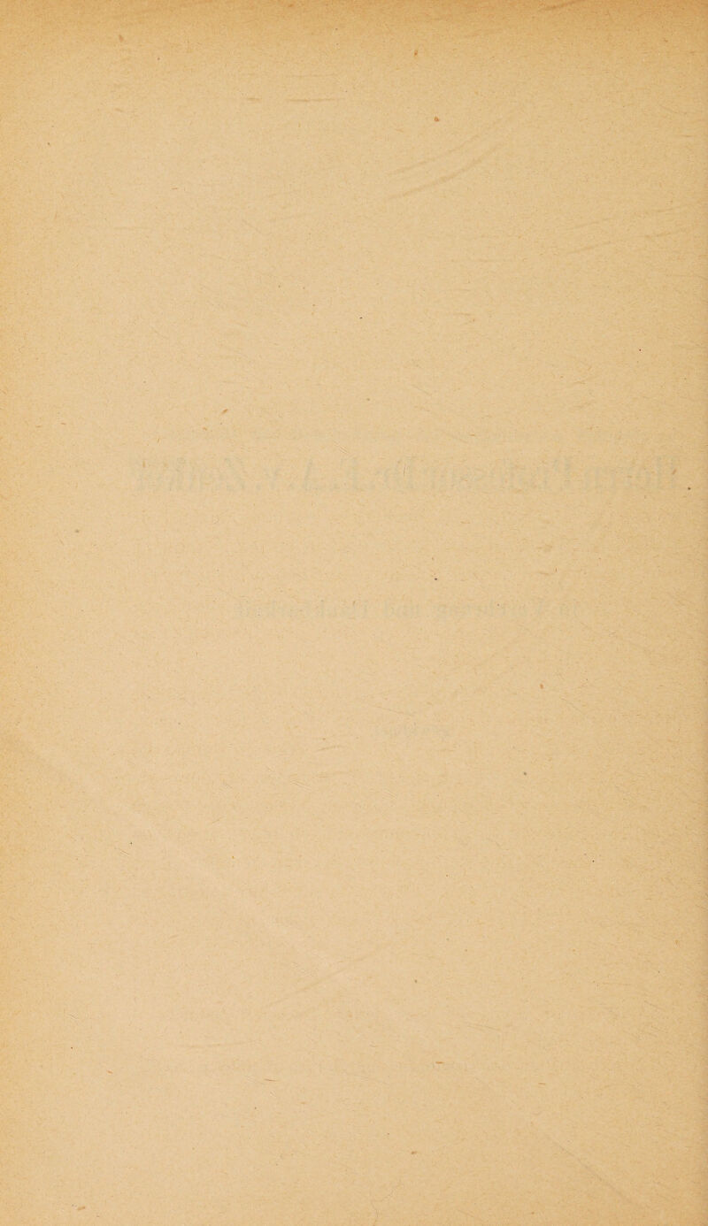 rr ■ ■i'.f .Hü-'--- '/ v-;:' _-«:^ . :K- : /.,■ f* fli- - - ■ ■ '• . . ■'- ■■ >;_?i’. ;^.’' tvx .'rv '^■ tjT 'i'*. ■''/.'i-*- «ai» . . r 'l- ^ ■'..•r' •f'-. .% ft' ''* >* Ä »'“ ^.'r ';i'i*’J,4’'’j&'y'Ä • ■, ->, /f: - ./ , •■.■.: ':.,-^v> v‘ia5 - : -,■ •- . •■ . •-^ f 'fdu vÄ •- y sV’ ■•■■ ■: . .'v^* • S ■ ■ »/., • \ . ■,l_