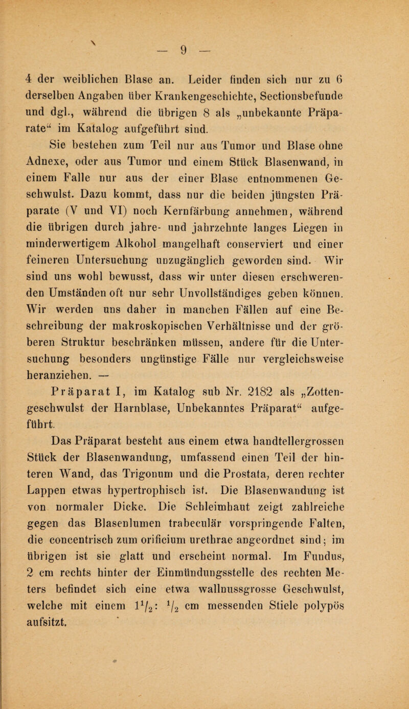 \ 4 der weiblichen Blase an. Leider finden sich nur zu 6 derselben Angaben über Krankengeschichte, Sectionsbefunde und dgl., während die übrigen 8 als „unbekannte Präpa¬ rate“ im Katalog aufgeführt sind. Sie bestehen zum Teil nur aus Tumor und Blase ohne Adnexe, oder aus Tumor und einem Stück Blasenwand, in einem Falle nur aus der einer Blase entnommenen Ge¬ schwulst. Dazu kommt, dass nur die beiden jüngsten Prä¬ parate (V und VI) noch Kernfärbung annehmen, während die übrigen durch jahre- und Jahrzehnte langes Liegen in minderwertigem Alkohol mangelhaft conserviert und einer feineren Untersuchung imzugänglich geworden sind. Wir sind uns wohl bewusst, dass wir unter diesen erschweren¬ den Umständen oft nur sehr Unvollständiges geben können. Wir werden uns daher in manchen Fällen auf eine Be¬ schreibung der makroskopischen Verhältnisse und der grö¬ beren Struktur beschränken müssen, andere für die Unter¬ suchung besonders ungünstige Fälle nur vergleichsweise heranziehen. — Präparat I, im Katalog sub Nr. 2182 als „Zotten¬ geschwulst der Harnblase, Unbekanntes Präparat“ aufge- fübrt. Das Präparat besteht aus einem etwa handtellergrossen Stück der Blasenwandung, umfassend einen Teil der hin¬ teren Wand, das Trigonnm und die Prostata, deren rechter Lappen etwas hypertrophisch ist. Die Blasenwandung ist von normaler Dicke. Die Schleimhaut zeigt zahlreiche gegen das Blasenlumen trabeculär vorspringende Falten, die concentrisch zum oriticium urethrae angeordnet sind; im übrigen ist sie glatt und erscheint normal. Im Fundus, 2 cm rechts hinter der Einmündungsstelle des rechten Me¬ ters befindet sich eine etwa wallnussgrosse Geschwulst, welche mit einem U/2: V2 cm messenden Stiele polypös aufsitzt.