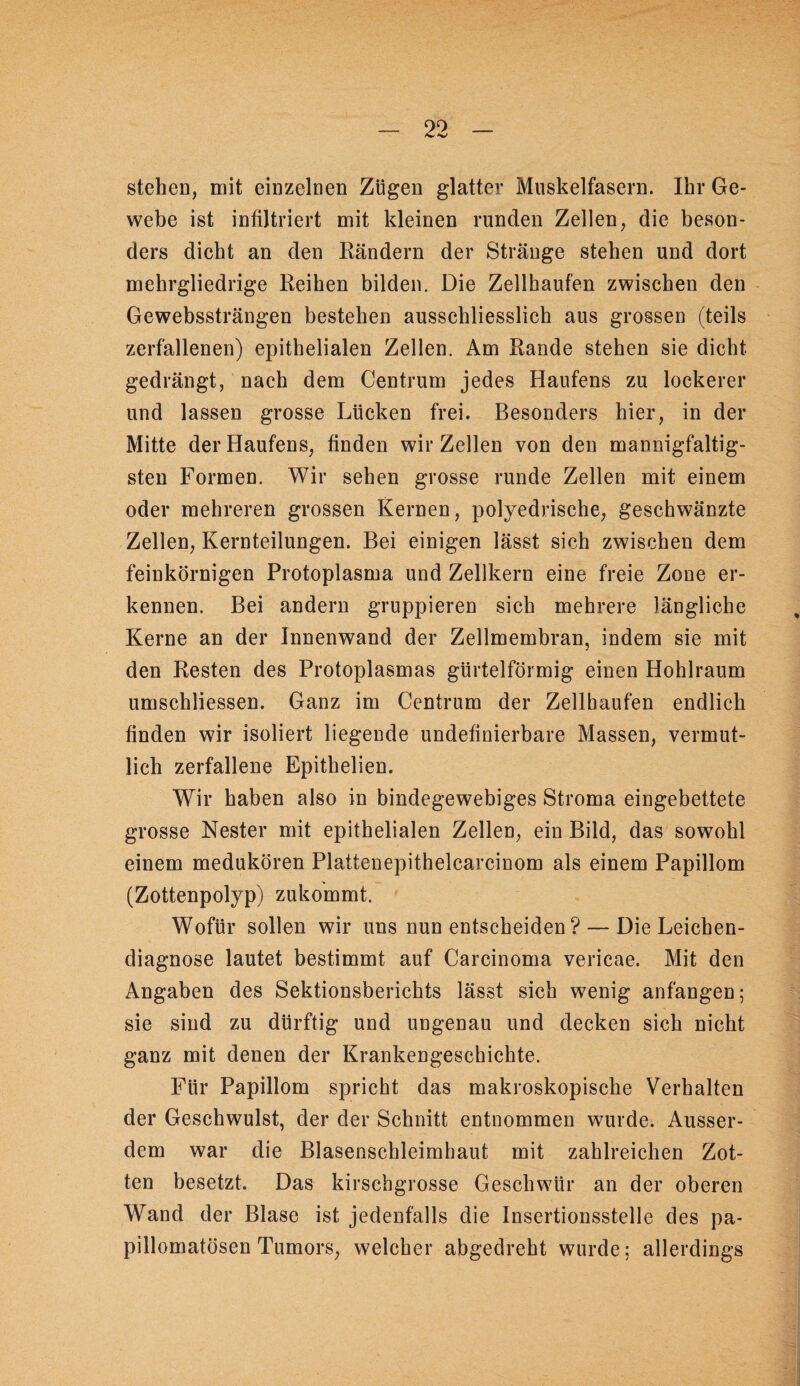 stehen, mit einzelnen Zügen glatter Muskelfasern. Ihr Ge¬ webe ist infiltriert mit kleinen runden Zellen, die beson¬ ders dicht an den Kändern der Stränge stehen und dort mehrgliedrige Reihen bilden. Die Zellhaufen zwischen den Gewebssträngen bestehen ausschliesslich aus grossen (teils zerfallenen) epithelialen Zellen. Am Rande stehen sie dicht gedrängt, nach dem Centrum jedes Haufens zu lockerer und lassen grosse Lücken frei. Besonders hier, in der Mitte der Haufens, finden wir Zellen von den mannigfaltig¬ sten Formen. Wir sehen grosse runde Zellen mit einem oder mehreren grossen Kernen, polyedrische, geschwänzte Zellen, Kernteilungen. Bei einigen lässt sich zwischen dem feinkörnigen Protoplasma und Zellkern eine freie Zone er¬ kennen. Bei andern gruppieren sich mehrere längliche Kerne an der Innenwand der Zellmembran, indem sie mit den Resten des Protoplasmas gürtelförmig einen Hohlraum umschliessen. Ganz im Centrum der Zellhaufen endlich finden wir isoliert liegende undefinierbare Massen, vermut¬ lich zerfallene Epithelien. Wir haben also in bindegewebiges Stroma eingebettete grosse Nester mit epithelialen Zellen, ein Bild, das sowohl einem medukören Plattenepithelcarcinom als einem Papillom (Zottenpolyp) zukommt. Wofür sollen wir uns nun entscheiden ? — Die Leichen¬ diagnose lautet bestimmt auf Carcinoma vericae. Mit den Angaben des Sektionsberichts lässt sich wenig anfangen; sie sind zu dürftig und ungenau und decken sich nicht ganz mit denen der Krankengeschichte. Für Papillom spricht das makroskopische Verhalten der Geschwulst, der der Schnitt entnommen wurde. Ausser¬ dem war die Blasenschleimhaut mit zahlreichen Zot¬ ten besetzt. Das kirscbgrosse Geschwür an der oberen Wand der Blase ist jedenfalls die Insertionsstelle des pa- pillomatösen Tumors, welcher abgedreht wurde; allerdings