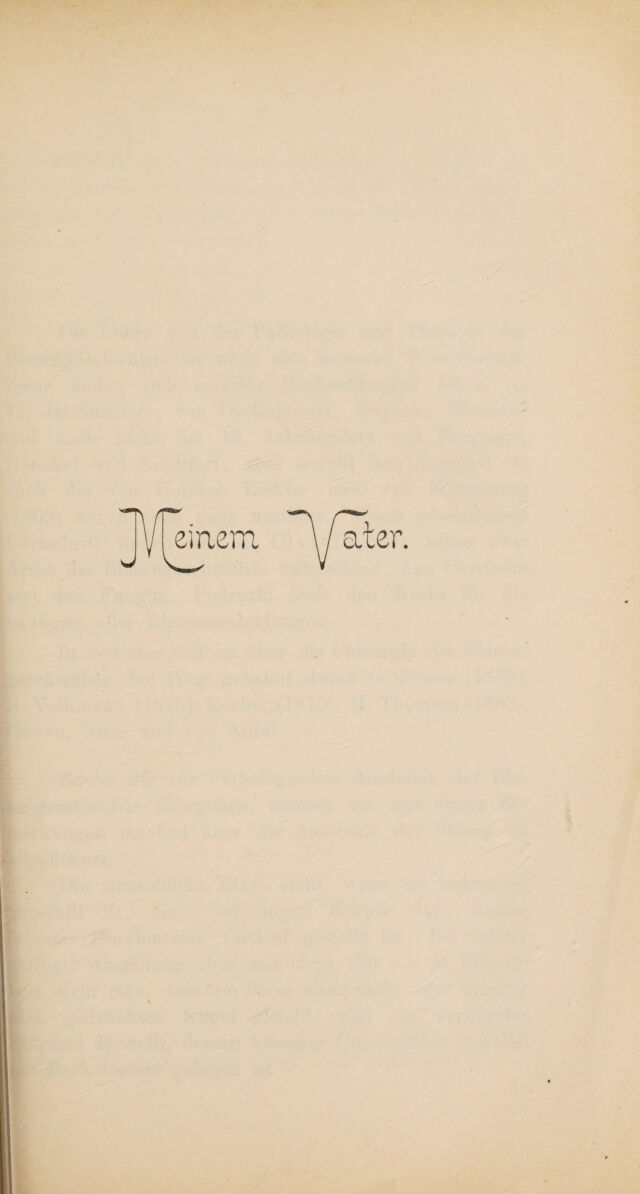 digitised image 3