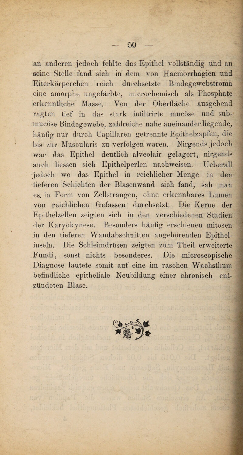 an anderen jedoch fehlte das Epithel vollständig nnd an seine Steile fand sich in dem von Haemorrhagien und Eiterkörperchen reich durchsetzte Bindegewebstroma eine amorphe ungefärbte, microchemisch als Phosphate erkenntliche Masse. Von der Oberfläche ausgehend ragten tief in das stark infiltrirte mucöse und sub- mucöse Bindegewebe, zahlreiche nahe aneinander liegende, häufig nur durch Capillaren getrennte Epithelzapfen, die bis zur Muscularis zu verfolgen waren. Nirgends jedoch war das Epithel deutlich alveolair gelagert, nirgends auch liessen sich Epithelperlen nach weisen. Ueberall jedoch wo das Epithel in reichlicher Menge in den tieferen Schichten der Blasenwand sich fand, sah man es. in Form von Zellsträngen, ohne erkennbares Lumen von reichlichen Gefässen durchsetzt. Die Kerne der Epithelzellen zeigten sich in den verschiedenen Stadien der Karyokynese. Besonders häufig erschienen mitosen in den tieferen Wandabschnitten angehörenden Epithel¬ inseln. Die Schleimdrüsen zeigten zum Theil erweiterte Fundi, sonst nichts besonderes. Die microscopische Diagnose lautete somit auf eine im raschen Wachsthum befindliche epitheliale Neubildung einer chronisch ent¬ zündeten Blase.