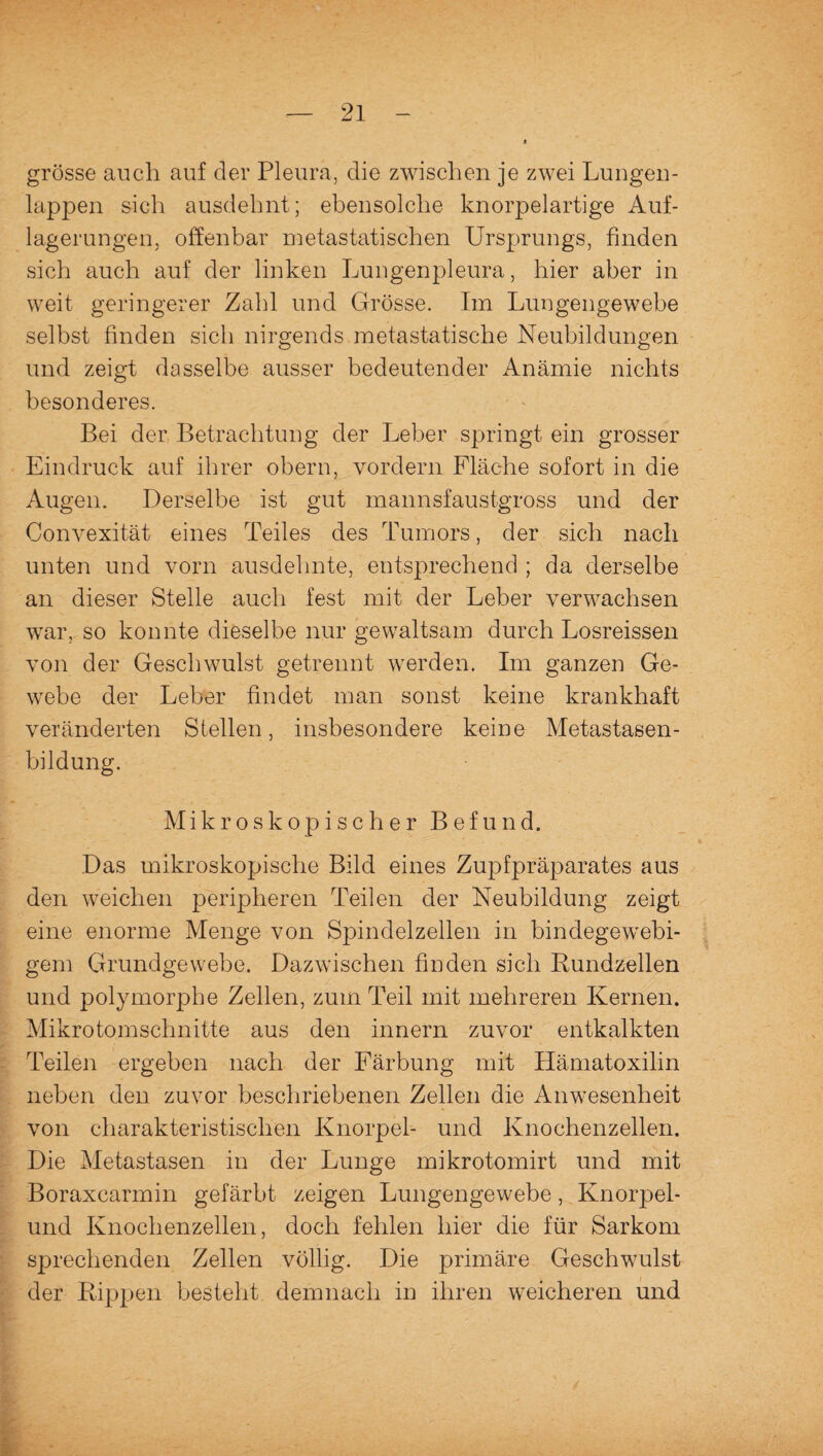 grosse auch auf der Pleura, die zwischen je zwei Lungen¬ lappen sich ausdehnt; ebensolche knorpelartige Auf¬ lagerungen, offenbar metastatischen Ursprungs, finden sich auch auf der linken Lungenpleura, hier aber in weit geringerer Zahl und Grösse. Im Lungengewebe selbst finden sich nirgends metastatische Neubildungen und zeigt dasselbe ausser bedeutender Anämie nichts besonderes. Bei der Betrachtung der Leber springt ein grosser Eindruck auf ihrer obern, vordem Fläche sofort in die Augen. Derselbe ist gut mannsfaustgross und der Convexität eines Teiles des Tumors, der sich nach unten und vorn ausdehnte, entsprechend ; da derselbe an dieser Stelle auch fest mit der Leber verwachsen war, so konnte dieselbe nur gewaltsam durch Losreissen von der Geschwulst getrennt werden. Im ganzen Ge¬ webe der Leber findet man sonst keine krankhaft veränderten Stellen, insbesondere keine Metastasen¬ bildung. Mikroskopischer Befund. Das mikroskopische Bild eines Zupfpräparates aus den weichen peripheren Teilen der Neubildung zeigt eine enorme Menge von Spindelzellen in bindegewebi¬ gem Grundgewebe. Dazwischen finden sich Rundzellen und polymorphe Zellen, zum Teil mit mehreren Kernen. Mikrotomschnitte aus den innern zuvor entkalkten Teilen ergeben nach der Färbung mit Hämatoxilin neben den zuvor beschriebenen Zellen die Anwesenheit von charakteristischen Knorpel- und Knochenzellen. Die Metastasen in der Lunge mikrotomirt und mit Boraxcarmin gefärbt zeigen Lungengewebe, Knorpel- und Knochenzellen, doch fehlen hier die für Sarkom sprechenden Zellen völlig. Die primäre Geschwulst der Rippen besteht demnach in ihren weicheren und