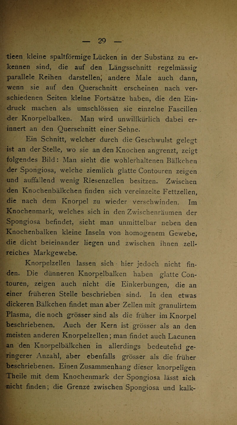 / tieen kleine spaltförmige Lücken in der Substanz zu er¬ kennen sind, die auf den Längsschnitt regelmässig parallele Reihen darstellend andere Male auch dann, wenn sie auf den Querschnitt erscheinen nach ver¬ schiedenen Seiten kleine Fortsätze haben, die den Ein¬ druck machen als umschlössen sie einzelne Fascillen der Knorpelbalken. Man wird unwillkürlich dabei er¬ innert an den Querschnitt einer Sehne. Ein Schnitt, welcher durch die Geschwulst gelegt ist an der Stelle, wo sie an den Knochen angrenzt, zeigt folgendes Bild : Man sieht die wohlerhaltenen Bälkchen der Spongiosa, welche ziemlich glatte Contouren zeigen und auffallend wenig Riesenzellen besitzen. Zwischen den Knochenbälkchen finden sich vereinzelte Fettzellen, die nach dem Knorpel zu wieder verschwinden. Im Knochenmark, welches sich in den Zwischenräumen der Spongiosa befindet, sieht man unmittelbar neben den Knochenbalken kleine Inseln von homogenem Gewebe, die dicht beieinander liegen und zwischen ihnen zell¬ reiches Markgewebe. Knorpelzellen lassen sich hier jedoch nicht fin¬ den. Die dünneren Knorpelbalken haben glatte Con¬ touren, zeigen auch nicht die Einkerbungen, die an einer früheren Stelle beschrieben sind. In den etwas dickeren Bälkchen findet man aber Zellen mit granulirtem Plasma, die noch grösser sind als die früher im Knorpel beschriebenen. Auch der Kern ist grösser als an den meisten anderen Knorpelzellen; man findet auch Lacunen an den Knorpelbälkchen in allerdings bedeutend ge¬ ringerer Anzahl, aber ebenfalls grösser als die früher beschriebenen. Einen Zusammenhang dieser knorpeligen Theile mit dem Knochenmark der Spongiosa lässt sich nicht finden; die Grenze zwischen Spongiosa und kalk-