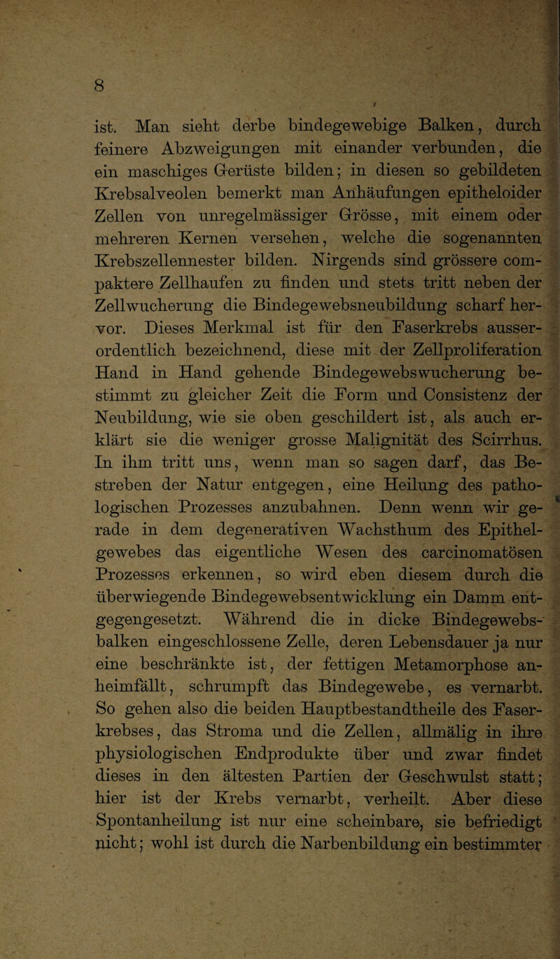 a. ist. Man sieht derbe bindegewebige Balken, durch feinere Abzweigungen mit einander verbunden, die ein maschiges Gerüste bilden; in diesen so gebildeten Krebsalveolen bemerkt man Anhäufungen epitheloider Zellen von unregelmässiger Grösse, mit einem oder mehreren Kernen versehen, welche die sogenannten Krebszellennester bilden. Nirgends sind grössere com- paktere Zellhaufen zu finden und stets tritt neben der Zellwucherung die Bindegewebsneubildung scharf her¬ vor. Dieses Merkmal ist für den Faserkrebs ausser¬ ordentlich bezeichnend, diese mit der Zellproliferation Hand in Hand gehende Bindegewebswucherung be¬ stimmt zu gleicher Zeit die Form und Consistenz der Neubildung, wie sie oben geschildert ist, als auch er¬ klärt sie die weniger grosse Malignität des Scirrhus. In ihm tritt uns, wenn man so sagen darf, das Be¬ streben der Natur entgegen, eine Heilung des patho¬ logischen Prozesses anzubahnen. Denn wenn wir ge¬ rade in dem degenerativen Wachsthum des Epithel¬ gewebes das eigentliche Wesen des carcinomatösen Prozesses erkennen, so wird eben diesem durch die überwiegende Bindegewebsentwicklung ein Damm ent¬ gegengesetzt. Während die in dicke Bindegewebs- balken eingeschlossene Zelle, deren Lebensdauer ja nur eine beschränkte ist, der fettigen Metamorphose an¬ heimfällt, schrumpft das Bindegewebe, es vernarbt. So gehen also die beiden Hauptbestandtheile des Faser¬ krebses, das Stroma und die Zellen, allmälig in ihre physiologischen Endprodukte über und zwar findet dieses in den ältesten Partien der Geschwulst statt ; hier ist der Krebs vernarbt, verheilt. Aber diese Spontanheilung ist nur eine scheinbare, sie befriedigt nicht; wohl ist durch die Narbenbildung ein bestimmter