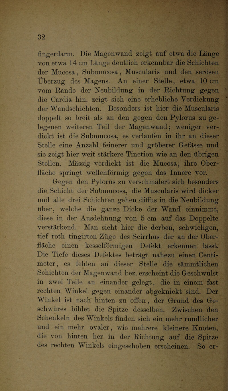 fingerdarm. Die Magenwand zeigt auf etwa die Länge von etwa 14 cm Länge deutlich, erkennbar die Schichten der Mucosa, Submiicosa, Muscularis und den serösen Überzug des Magens. An einer Stelle, etwa 10 cm vom Lande der Neubildung in der Lichtung gegen die Cardia hin, zeigt sich eine erhebliche Verdickung der Wandschichten. Besonders ist hier die Muscularis doppelt so breit als an den gegen den Pylorus zu ge¬ legenen weiteren Teil der Magen wand; weniger ver¬ dickt ist die Submucosa, es verlaufen in ihr an dieser Stelle eine Anzahl feinerer und gröberer Gefässe und sie zeigt hier weit stärkere Tinction wie an den übrigen Stellen. Mässig verdickt ist die Mucosa, ihre Ober¬ fläche springt wellenförmig gegen das Innere vor. Gegen den Pylorus zu verschmälert sich besonders die Schicht der Submucosa, die Muscularis wird dicker und alle drei Schichten gehen diffus in die Neubildung über, welche die ganze Dicke der Wand einnimmt, diese in der Ausdehnung von 5 cm auf das Doppelte verstärkend. Man sieht hier die derben, schwieligen, tief roth tingirten Züge des Scirrhus der an der Ober¬ fläche einen kesselförmigen Defekt erkennen lässt. Die Tiefe dieses Defektes beträgt nahezu einen Centi- meter, es fehlen an dieser Stelle die sämmtlichen Schichten der Magen wand bez. erscheint die Geschwulst in zwei Teile an einander gelegt, die in einem fast rechten Winkel gegen einander ab geknickt sind. Der Winkel ist nach hinten zu offen, der Grund des Ge¬ schwüres bildet die Spitze desselben. Zwischen den Schenkeln des Winkels finden sich ein mehr rundlicher und ein mehr ovaler, wie mehrere kleinere Knoten, die von hinten her in der Lichtung auf die Spitze des rechten Winkels ein geschoben erscheinen. So er-