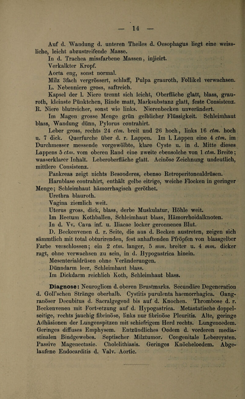 Auf d. Wandung d. unteren Theiles d. Oesophagus liegt eine weiss- liche, leicht abzustreifende Masse. In d. Trachea missfarbene Massen, injicirt. Verkalkter Kropf. Aorta eng, sonst normal. Milz 3fach vergrössert, schlaff, Pulpa grauroth, Follikel verwachsen. L. Nebenniere gross, saftreich. Kapsel der 1. Niere trennt sich leicht, Oberfläche glatt, blass, grau¬ roth, kleinste Pünktchen, Rinde matt, Marksubstanz glatt, feste Consistenz. R. Niere blutreicher, sonst wie links. Nierenbecken unverändert. Im Magen grosse Menge grün gelblicher Flüssigkeit. Schleimhaut blass, Wandung dünn, Pylorus contrahirt. Leber gross, rechts 24 dm. breit und 26 hoch, links 16 dm. hoch u. 7 dick. Querfurche über d. r. Lappen. Im 1. Lappen eine 4 dm. im Durchmesser messende vorgewölbte, klare Cyste u. in d. Mitte dieses Lappens 5 dm. vom oberen Rand eine zweite ebensolche von 1 dm. Breite; wasserklarer Inhalt. Leberoberfläche glatt. Acinöse Zeichnung undeutlich, mittlere Consistenz. Pankreas zeigt nichts Besonderes, ebenso Retroperitonealdrüsen. Harnblase contrahirt, enthält gelbe eitrige, weiche Flocken in geringer Menge; Schleimhaut hämorrhagisch geröthet. Urethra blauroth. Vagina ziemlich weit. Uterus gross, dick, blass, derbe Muskulatur, Höhle weit. Im Rectum Kotliballen, Schleimhaut blass, Hämorrhoidalknoten. In d. Vv. Cava inf. u. Iliacae locker geronnenes Blut. D. Beckenvenen d. r. Seite, die aus d. Becken austreten, zeigen sich sämmtlich mit total obturirenden, fest anhaftenden Pfropfen von blassgelber Farbe veischlossen; ein 2 dm. langer, 5 mm. breiter u. 4 mm. dicker ragt, ohne verwachsen zu sein, in d. Hypogastrica hinein. Mesenterialdrüsen ohne Veränderungen. Dünndarm leer, Schleimhaut blass. Im Dickdarm reichlich Koth, Schleimhaut blass. Diagnose: Neurogliom d. oberen Brustmarks. Secundäre Degeneration d. Goll’schen Stränge oberhalb. Cystitis purulenta haemorrhagica. Gang¬ ränöser Decubitus d. Sacralgegend bis auf d. Knochen. Thrombose d. r. Beckenvenen mit Fortsetzung auf d. Hypogastrica. Metastatische doppel¬ seitige, rechts jauchig fibrinöse, links nur fibrinöse Pleuritis. Alte, geringe Adhäsionen der Lungenspitzen mit schiefrigem Herd rechts. Lungenoedem. Geringes diffuses Emphysem. Entzündliches Oedem d. vorderen media- stinalen Bindgewebes. Septischer Milztumor. Congenitale Lebercysten. Passive Magenectasie. Cholelithiasis. Geringes Knöcheloedem. Abge¬ laufene Endocarditis d. Valv. Aortic.