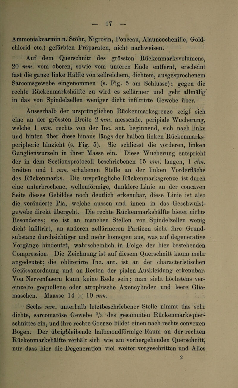 Ammoniakcarmin n. Stöhr, Nigrosin, Ponceau, Alauncochenille, Gold- chlorid etc.) gefärbten Präparaten, nicht nach weisen. Auf dein Querschnitt des grössten Rückenmarksvolumens, 20 mm. vom oberen, sowie vom unteren Ende entfernt, erscheint fast die ganze linke Hälfte von zellreichem, dichtem, ausgesprochenem Sarcomsgewebe eingenommen (s. Fig. 5 am Schlüsse); gegen die rechte Rückenmarkshälfte zu wird es zellärmer und geht allmälig in das von Spindelzellen weniger dicht infiltrirte Gewebe über. Ausserhalb der ursprünglichen Rückenmarksgrenze zeigt sich eine an der grössten Breite 2 mm. messende, peripiale Wucherung, welche 1 mm. rechts von der Inc. ant. beginnend, sich nach links und hinten über diese hinaus längs der halben linken Rückenmarks¬ peripherie hinzieht (s. Fig. 5). Sie schliesst die vorderen, linken Ganglienwurzeln in ihrer Masse ein. Diese Wucherung entspricht der in dem Sectionsprotocoll beschriebenen 15 mm. langen, 1 ctm. breiten und 1 mm. erhabenen Stelle an der linken Vorderfläche des Rückenmarks. Die ursprüngliche Rückenmarksgrenze ist durch eine unterbrochene, wellenförmige, dunklere Linie an der concaven Seite dieses Gebildes noch deutlich erkennbar, diese Linie ist also die veränderte Pia, welche aussen und innen in das Geschwulst- gewebe direkt übergeht. Die rechte Rückenmarkshälfte bietet nichts Besonderes; sie ist an manchen Stellen von Spindelzellen wenig dicht infiltrirt, an anderen zellärmeren Partieen sieht ihre Grund¬ substanz durchsichtiger und mehr homogen aus, was auf degenerative Vorgänge hindeutet, wahrscheinlich in Folge der hier bestehenden Compression. Die Zeichnung ist auf diesem Querschnitt kaum mehr angedeutet; die obliterirte Inc. ant. ist an der characteristischen Gefässanordnung und an Resten der pialen Auskleidung erkennbar. Von Nervenfasern kann keine Rede sein; man sieht höchstens ver¬ einzelte gequollene oder atrophische Axencylinder und leere Glia- maschen. Maasse 14 X 10 mm. . '. Sechs mm. unterhalb letztbeschriebener Stelle nimmt das sehr dichte, sarcomatöse Gewebe 2/3 des gesammten Rückenmarksquer¬ schnittes ein, und ihre rechte Grenze bildet einen nach rechts convexen Bogen. Der übrigbleibende halbmondförmige Raum an der rechten Rückenmarkshälfte verhält sich wie am vorhergehenden Querschnitt, nur dass hier die Degeneration viel weiter vorgeschritten und Alles 2