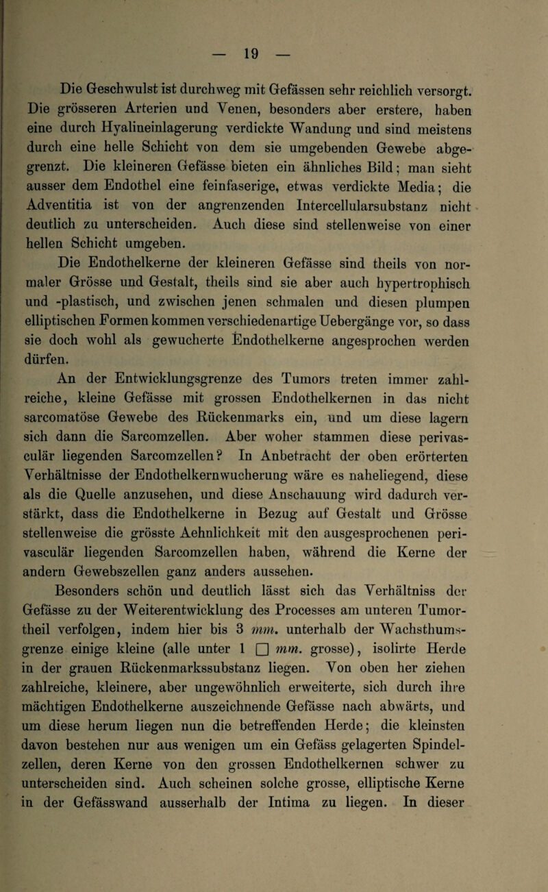 Die Geschwulst ist durchweg mit Gefässen sehr reichlich versorgt. Die grösseren Arterien und Yenen, besonders aber erstere, haben eine durch Hyalineinlagerung verdickte Wandung und sind meistens durch eine helle Schicht von dem sie umgebenden Gewebe abge¬ grenzt. Die kleineren Gefässe bieten ein ähnliches Bild; man sieht ausser dem Endothel eine feinfaserige, etwas verdickte Media; die Adventitia ist von der angrenzenden Intercellularsubstanz nicht deutlich zu unterscheiden. Auch diese sind stellenweise von einer hellen Schicht umgeben. Die Endothelkerne der kleineren Gefässe sind theils von nor¬ maler Grösse und Gestalt, theils sind sie aber auch hypertrophisch und -plastisch, und zwischen jenen schmalen und diesen plumpen elliptischen Formen kommen verschiedenartige Uebergänge vor, so dass sie doch wohl als gewucherte Endothelkerne angesprochen werden dürfen. An der Entwicklungsgrenze des Tumors treten immer zahl¬ reiche, kleine Gefässe mit grossen Endothelkernen in das nicht sarcomatöse Gewebe des Rückenmarks ein, und um diese lagern sich dann die Sarcomzellen. Aber woher stammen diese perivas- culär liegenden Sarcomzellen? In Anbetracht der oben erörterten Verhältnisse der Endothelkern Wucherung wäre es naheliegend, diese als die Quelle anzusehen, und diese Anschauung wird dadurch ver¬ stärkt, dass die Endothelkerne in Bezug auf Gestalt und Grösse stellenweise die grösste Aehnlichkeit mit den ausgesprochenen peri- vasculär liegenden Sarcomzellen haben, während die Kerne der andern Gewebszellen ganz anders aussehen. Besonders schön und deutlich lässt sich das Yerhältniss der Gefässe zu der Weiterentwicklung des Processes am unteren Tumor- theil verfolgen, indem hier bis 3 mm. unterhalb der Wachsthums¬ grenze einige kleine (alle unter 1 □ mm. grosse), isolirte Herde in der grauen Rückenmarkssubstanz liegen. Yon oben her ziehen zahlreiche, kleinere, aber ungewöhnlich erweiterte, sich durch ihre mächtigen Endothelkerne auszeichnende Gefässe nach abwärts, und um diese herum liegen nun die betreffenden Herde; die kleinsten davon bestehen nur aus wenigen um ein Gefäss gelagerten Spindel¬ zellen, deren Kerne von den grossen Endothelkernen schwer zu unterscheiden sind. Auch scheinen solche grosse, elliptische Kerne in der Gefässwand ausserhalb der Intima zu liegen. In dieser