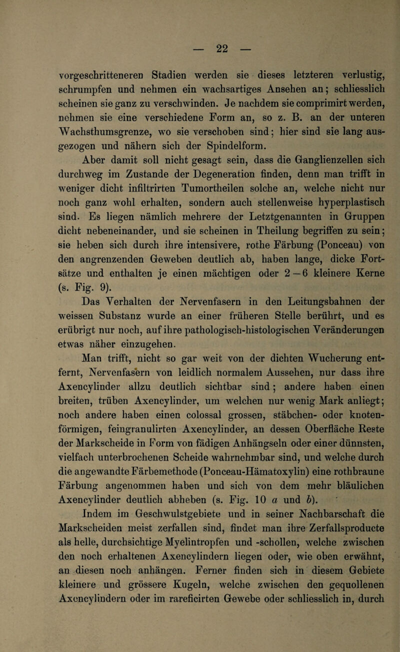 vorgeschritteneren Stadien werden sie dieses letzteren verlustig, schrumpfen und nehmen ein wachsartiges Ansehen an; schliesslich scheinen sie ganz zu verschwinden. Je nachdem sie comprimirt werden, nehmen sie eine verschiedene Form an, so z. B. an der unteren Wachsthumsgrenze, wo sie verschoben sind; hier sind sie lang aus¬ gezogen und nähern sich der Spindelform. Aber damit soll nicht gesagt sein, dass die Ganglienzellen sich durchweg im Zustande der Degeneration finden, denn man trifft in weniger dicht infiltrirten Tumortheilen solche an, welche nicht nur noch ganz wohl erhalten, sondern auch stellenweise hyperplastisch sind. Es liegen nämlich mehrere der Letztgenannten in Gruppen dicht nebeneinander, und sie scheinen in Theilung begriffen zu sein; sie heben sich durch ihre intensivere, rothe Färbung (Ponceau) von den angrenzenden Geweben deutlich ab, haben lange, dicke Fort¬ sätze und enthalten je einen mächtigen oder 2—6 kleinere Kerne (s. Fig. 9). Das Verhalten der Nervenfasern in den Leitungsbahnen der weissen Substanz wurde an einer früheren Stelle berührt, und es erübrigt nur noch, auf ihre pathologisch-histologischen Veränderungen etwas näher einzugehen. Man trifft, nicht so gar weit von der dichten Wucherung ent¬ fernt, Nervenfasern von leidlich normalem Aussehen, nur dass ihre Axencylinder allzu deutlich sichtbar sind; andere haben einen breiten, trüben Axencylinder, um welchen nur wenig Mark anliegt; noch andere haben einen colossal grossen, Stäbchen- oder knoten¬ förmigen, feingranulirten Axencylinder, an dessen Oberfläche Reste der Markscheide in Form von fädigen Anhängseln oder einer dünnsten, vielfach unterbrochenen Scheide wahrnehmbar sind, und welche durch die angewandte Färbemethode (Ponceau-Hämatoxylin) eine rothbraune Färbung angenommen haben und sich von dem mehr bläulichen Axencylinder deutlich abheben (s. Fig. 10 a und b). Indem im Geschwulstgebiete und in seiner Nachbarschaft die Markscheiden meist zerfallen sind, findet man ihre Zerfallsproducte als helle, durchsichtige Myelintropfen und -schollen, welche zwischen den noch erhaltenen Axencylindern liegen oder, wie oben erwähnt, an diesen noch anhängen. Ferner finden sich in diesem Gebiete kleinere und grössere Kugeln, welche zwischen den gequollenen Axencylindern oder im rareficirten Gewebe oder schliesslich in, durch