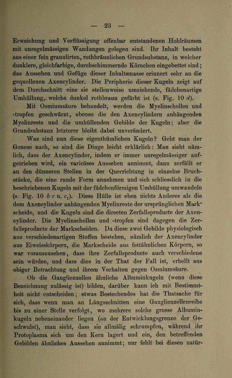 Erweichung und Verflüssigung offenbar entstandenen Hohlräumen mit unregelmässigen Wandungen gelegen sind. Ihr Inhalt besteht aus einer fein granulirten, rothbräunlichen Grundsubstanz, in welcher dunklere, gleichfarbige, durchschimmernde Körnchen eingebettet sind; das Aussehen und Gefüge dieser Inhaltsmasse erinnert sehr an die gequollenen Axencylinder. Die Peripherie dieser Kugeln zeigt auf dem Durchschnitt eine sie stellenweise umziehende, fädchenartige Umhüllung,c welche dunkel rothbraun gefärbt ist (s. Fig. 10 d). Mit Osmiumsäure behandelt, werden die Myelinschollen und -tropfen geschwärzt, ebenso die den Axencylindern anhängenden Myelinreste und die umhüllenden Gebilde der Kugeln; aber die Grundsubstanz letzterer bleibt dabei unverändert. Was sind nun diese eigenthümlichen Kugeln? Geht man der Genese nach, so sind die Dinge leicht erklärlich: Man sieht näm¬ lich, dass der Axencylinder, indem er immer unregelmässiger auf¬ getrieben wird, ein varicöses Aussehen annimmt, dann zerfällt er an den dünneren Stellen in der Querrichtung in einzelne Bruch¬ stücke, die eine runde Form annehmen und sich schliesslich in die beschriebenen Kugeln mit der fädchenförmigen Umhüllung umwandeln (s. Fig. 10 b c u. Cj). Diese Hülle ist eben nichts Anderes als die dem Axencylinder anhängenden Myelinreste der ursprünglichen Mark scheide, und die Kugeln sind die directen Zerfallsproducte der Axen¬ cylinder. Die Myelin schollen und -tropfen sind dagegen die Zer¬ fallsproducte der Markscheiden. Da diese zwei Gebilde physiologisch aus verschiedenartigen Stoffen bestehen, nämlich der Axencylinder aus Eiweisskörpern, die Markscheide aus fettähnlichen Körpern, so war vorauszusehen, dass ihre Zerfallsproducte auch verschiedene sein würden, und dass dies in der That der Fall ist, erhellt aus obiger Betrachtung und ihrem Verhalten gegen Osmiumsäure. Ob die Ganglienzellen ähnliche Albuminkugeln (wenn diese Bezeichnung zulässig ist) bilden, darüber kann ich mit Bestimmt¬ heit nicht entscheiden; etwas Bestechendes hat die Thatsache für sich, dass wenn man an Längsschnitten eine Ganglienzellenreihe bis zu einer Stelle verfolgt, wo mehrere solche grosse Albumin¬ kugeln nebeneinander liegen (an der Entwicklungsgrenze der Ge¬ schwulst), man sieht, dass sie allmälig schrumpfen, während ihr Protoplasma sich um den Kern lagert und ein, den betreffenden Gebilden ähnliches Aussehen annimmt; nur fehlt bei diesen natür-
