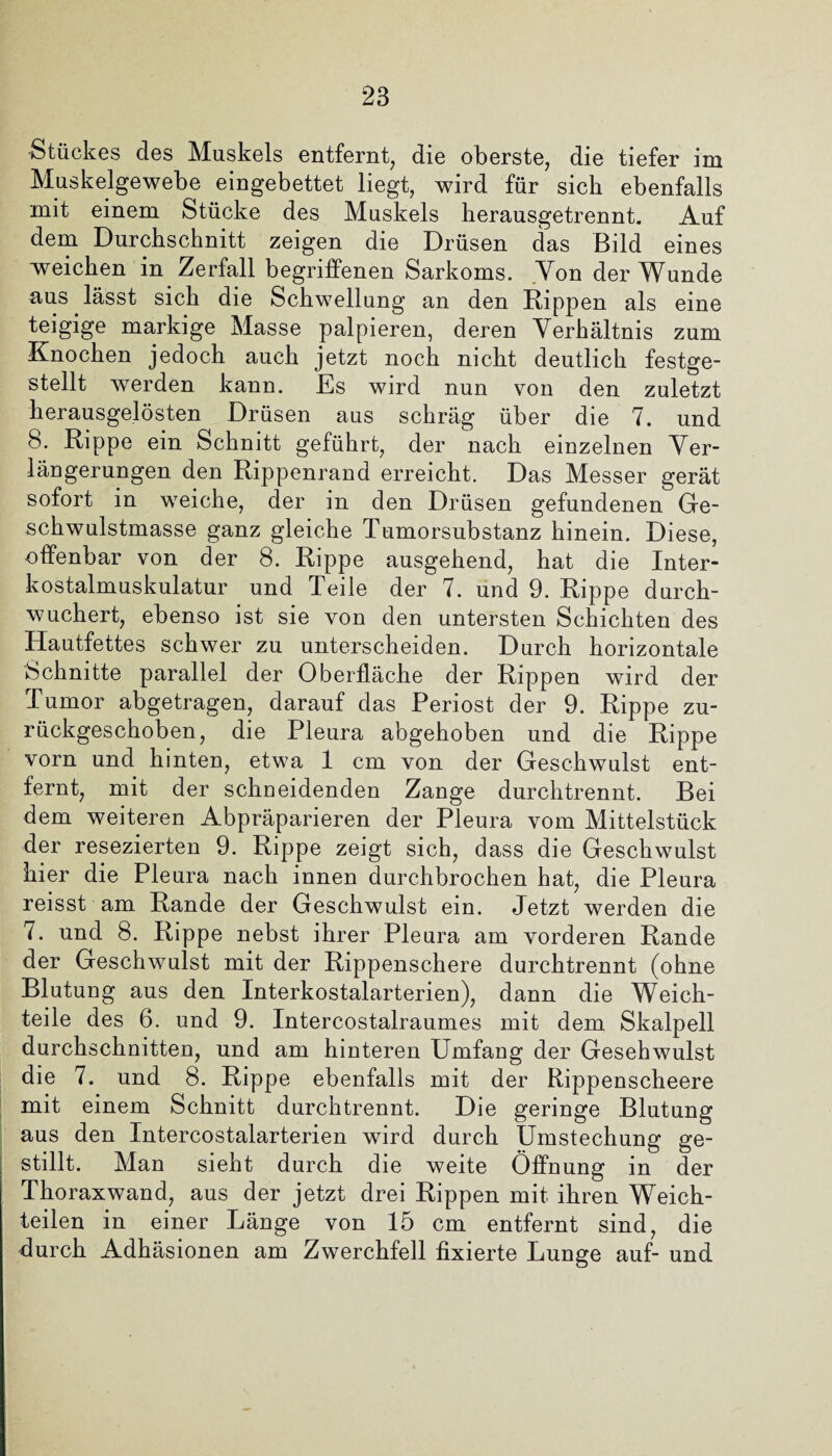 Stückes des Muskels entfernt, die oberste, die tiefer im Muskelgewebe eingebettet liegt, wird für sich ebenfalls mit einem Stücke des Muskels herausgetrennt. Auf dem Durchschnitt zeigen die Drüsen das Bild eines weichen in Zerfall begriffenen Sarkoms. Von der Wunde aus lässt sich die Schwellung an den Rippen als eine teigige markige Masse palpieren, deren Verhältnis zum Knochen jedoch auch jetzt noch nicht deutlich festge¬ stellt werden kann. Es wird nun von den zuletzt herausgelösten Drüsen aus schräg über die 7. und 8. Rippe ein Schnitt geführt, der nach einzelnen Ver¬ längerungen den Rippenrand erreicht. Das Messer gerät sofort in weiche, der in den Drüsen gefundenen Ge¬ schwulstmasse ganz gleiche Tumorsubstanz hinein. Diese, offenbar von der 8. Rippe ausgehend, hat die Inter¬ kostalmuskulatur und Teile der 7. und 9. Rippe durch¬ wuchert, ebenso ist sie von den untersten Schichten des Hautfettes schwer zu unterscheiden. Durch horizontale Schnitte parallel der Oberfläche der Rippen wird der Tumor abgetragen, darauf das Periost der 9. Rippe zu¬ rückgeschoben, die Pleura abgehoben und die Rippe vorn und hinten, etwa 1 cm von der Geschwulst ent¬ fernt, mit der schueidenden Zange durchtrennt. Bei dem weiteren Abpräparieren der Pleura vom Mittelstück der resezierten 9. Rippe zeigt sich, dass die Geschwulst hier die Pleura nach innen durchbrochen hat, die Pleura reisst am Rande der Geschwulst ein. Jetzt werden die 7. und 8. Rippe nebst ihrer Pleura am vorderen Rande der Geschwulst mit der Rippenschere durchtrennt (ohne Blutung aus den Interkostalarterien), dann die Weich¬ teile des 6. und 9. Intercostalraumes mit dem Skalpell durchschnitten, und am hinteren Umfang der Gesehwulst die 7. und 8. Rippe ebenfalls mit der Rippenscheere mit einem Schnitt durchtrennt. Die geringe Blutung aus den Intercostalarterien wird durch Umstechung ge¬ stillt. Man sieht durch die weite Öffnung in der Thoraxwand, aus der jetzt drei Rippen mit ihren Weich¬ teilen in einer Länge von 15 cm entfernt sind, die durch Adhäsionen am Zwerchfell fixierte Lunge auf- und