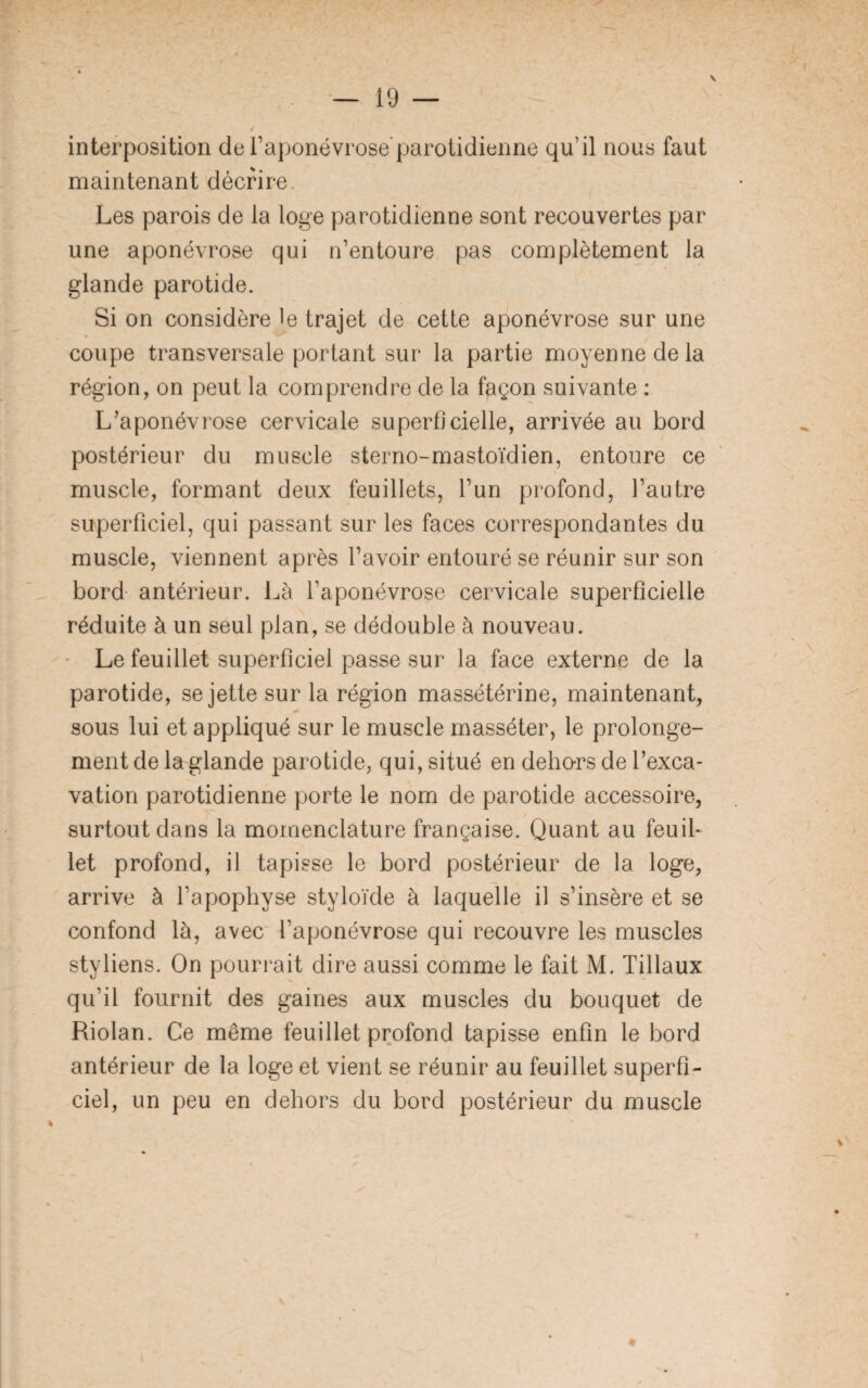 V interposition de l’aponévrose’parotidienne qu’il nous faut maintenant décrire. Les parois de la loge parotidienne sont recouvertes par une aponévrose qui n’entoure pas complètement la glande parotide. Si on considère le trajet de cette aponévrose sur une coupe transversale portant sur la partie moyenne de la région, on peut la comprendre de la façon suivante : L’aponévrose cervicale superficielle, arrivée au bord postérieur du muscle sterno-mastoïdien, entoure ce muscle, formant deux feuillets, l’un profond, l’autre superficiel, qui passant sur les faces correspondantes du muscle, viennent après l’avoir entouré se réunir sur son bord antérieur. Là l’aponévrose cervicale superficielle réduite à un seul plan, se dédouble à nouveau. Le feuillet superficiel passe sur la face externe de la parotide, se jette sur la région massétérine, maintenant, sous lui et appliqué sur le muscle masséter, le prolonge¬ ment de la glande parotide, qui, situé en dehors de l’exca¬ vation parotidienne porte le nom de parotide accessoire, surtout dans la momenclature française. Quant au feuil¬ let profond, il tapisse le bord postérieur de la loge, arrive à l’apophyse styloïde à laquelle il s’insère et se confond là, avec l’aponévrose qui recouvre les muscles styliens. On pourrait dire aussi comme le fait M. Tillaux qu’il fournit des gaines aux muscles du bouquet de Riolan. Ce même feuillet profond tapisse enfin le bord antérieur de la loge et vient se réunir au feuillet superfi¬ ciel, un peu en dehors du bord postérieur du muscle