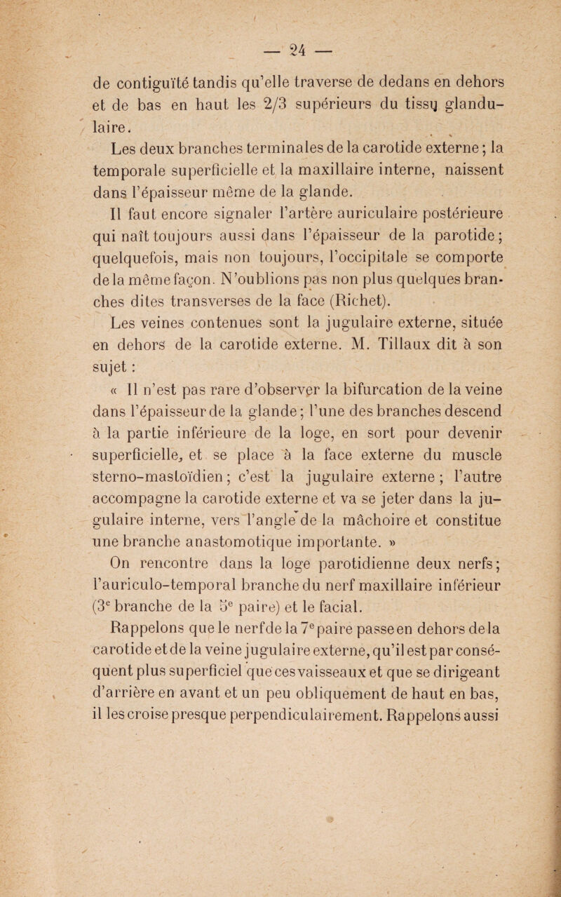 de contiguïté tandis qu’elle traverse de dedans en dehors et de bas en haut les 2/3 supérieurs du tissq glandu¬ laire. /' , # * Les deux branches terminales de la carotide externe ; la temporale superficielle et la maxillaire interne, naissent dans l’épaisseur même de la glande. Il faut encore signaler l’artère auriculaire postérieure qui naît toujours aussi dans l’épaisseur de la parotide; quelquefois, mais non toujours, l’occipitale se comporte delà même façon. N’oublions pas non plus quelques bran¬ ches dites transverses de la face (Richet). Les veines contenues sont la jugulaire externe, située en dehors de la carotide externe. M. Tillaux dit à son sujet : « Il n’est pas rare d’observer la bifurcation de la veine dans l’épaisseur de la glande; l’une des branches descend à la partie inférieure de la loge, en sort pour devenir superficielle,, et se place à la face externe du muscle sterno-mastoïdien ; c’est la jugulaire externe; l’autre accompagne la carotide externe et va se jeter dans la ju¬ gulaire interne, vers l’angle de la mâchoire et constitue une branche anastomotique importante. » On rencontre dans la loge parotidienne deux nerfs; l’auriculo-temporal branche du nerf maxillaire inférieur (3e branche de la 5e paire) et le facial. Rappelons que le nerfde la 7e paire passe en dehors delà carotide et de la veine jugulaire externe, qu’il est par consé¬ quent plus superficiel que ces vaisseaux et que se dirigeant d’arrière en avant et un peu obliquement de haut en bas, il les croise presque perpendiculairement. Rappelons aussi