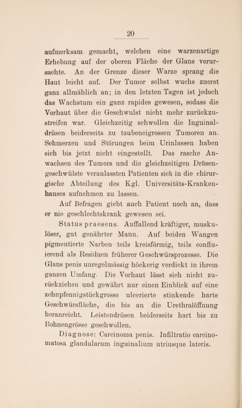 aufmerksam gemacht, welchen eine warzenartige Erhebung auf der oberen Fläche der Glans verur¬ sachte. An der Grenze dieser Warze sprang die Haut leicht auf. Der Tumor selbst wuchs zuerst ganz allmählich an; in den letzten Tagen ist jedoch das Wachstum ein ganz rapides gewesen, sodass die Vorhaut über die Geschwulst nicht mehr zurückzu¬ streifen war. Gleichzeitig schwollen die Inguinal¬ drüsen beiderseits zu taubeneigrossen Tumoren an. Schmerzen und Störungen beim Urinlassen haben sich bis jetzt nicht eingestellt. Das rasche An¬ wachsen des Tumors und die gleichzeitigen Drüsen¬ geschwülste veranlassten Patienten sieb in die chirur¬ gische Abteilung des Kgl. Universitäts-Kranken¬ hauses aufnehmen zu lassen. Auf Befragen giebt auch Patient noch an, dass er nie geschlechtskrank gewesen sei. Status praesens. Auffallend kräftiger, musku¬ löser, gut genährter Mann. Auf beiden Wangen pigmentierte Narben teils kreisförmig, teils conflu- ierend als Residuen früherer Geschwürsprozesse. Die Glans penis unregelmässig höckerig verdickt in ihrem ganzen Umfang. Die Vorhaut lässt sich nicht zu¬ rückziehen und gewährt nur einen Einblick auf eine zehnpfennigstückgrosse ulcerierte stinkende harte Geschwürsfläche, die bis an die Urethralöffnung heranreicht. Leistendrüsen beiderseits hart bis zu Bohnengrösse geschwollen. Diagnose: Carcinoma penis. Infiltratio carcino- matosa glandularum inguinalium utriusque lateris.