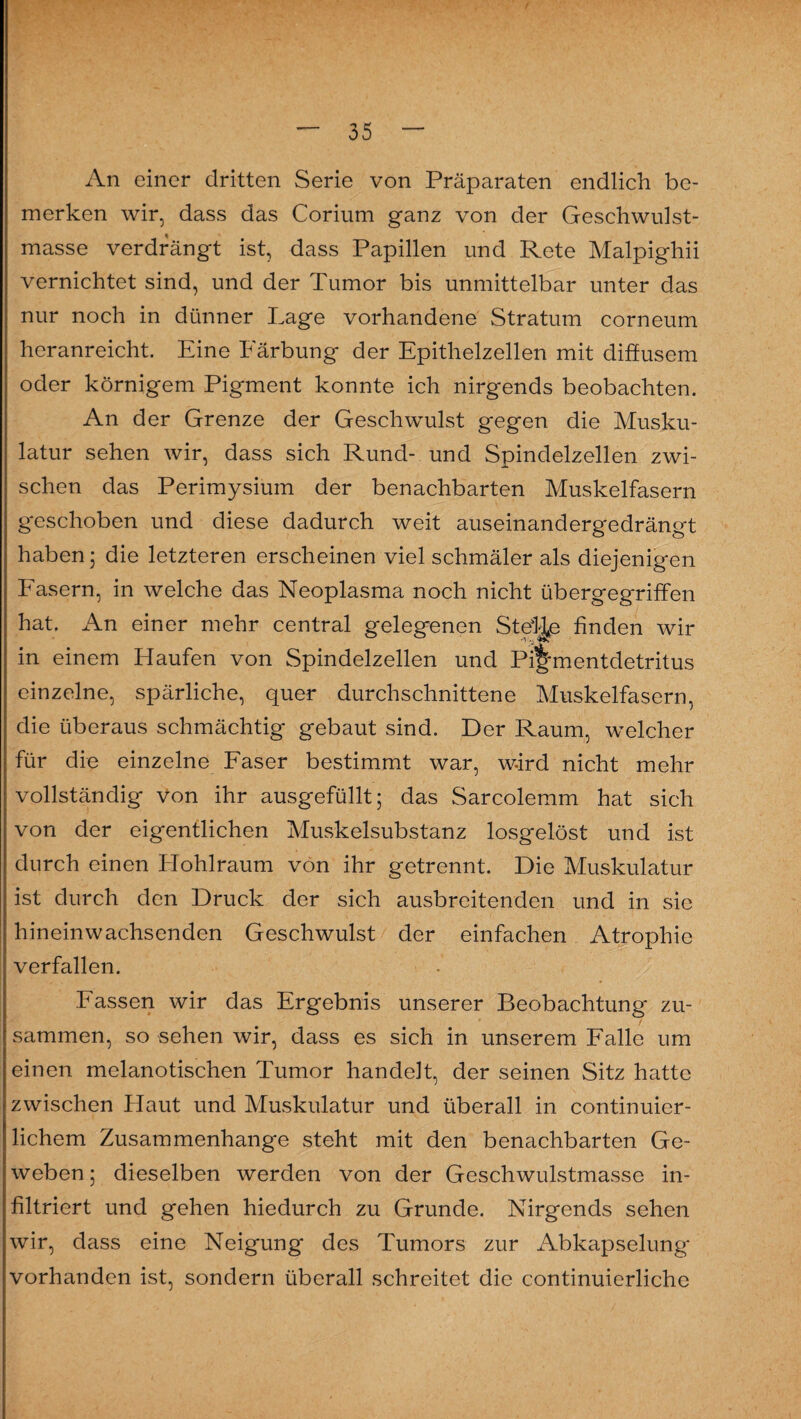 An einer dritten Serie von Präparaten endlich be¬ merken wir, dass das Corium ganz von der Geschwulst¬ masse verdrängt ist, dass Papillen und Rete Malpighii vernichtet sind, und der Tumor bis unmittelbar unter das nur noch in dünner Lage vorhandene Stratum corneum heranreicht. Eine Färbung der Epithelzellen mit diffusem oder körnigem Pigment konnte ich nirgends beobachten. An der Grenze der Geschwulst gegen die Musku¬ latur sehen wir, dass sich Rund- und Spindelzellen zwi¬ schen das Perimysium der benachbarten Muskelfasern geschoben und diese dadurch weit auseinandergedrängt haben; die letzteren erscheinen viel schmäler als diejenigen Fasern, in welche das Neoplasma noch nicht übergegriffen hat. An einer mehr central gelegenen Stelle finden wir in einem Haufen von Spindelzellen und Pi|fmentdetritus einzelne, spärliche, quer durchschnittene Muskelfasern, die überaus schmächtig gebaut sind. Der Raum, welcher für die einzelne Faser bestimmt war, wird nicht mehr vollständig Von ihr ausgefüllt; das Sarcolemm hat sich von der eigentlichen Muskelsubstanz losgelöst und ist durch einen Hohlraum von ihr getrennt. Die Muskulatur ist durch den Druck der sich ausbreitenden und in sie hineinwachsenden Geschwulst der einfachen Atrophie verfallen. Fassen wir das Ergebnis unserer Beobachtung zu¬ sammen, so sehen wir, dass es sich in unserem Falle um einen melanotischen Tumor handelt, der seinen Sitz hatte zwischen Haut und Muskulatur und überall in continuier- lichem Zusammenhänge steht mit den benachbarten Ge¬ weben ; dieselben werden von der Geschwulstmasse in¬ filtriert und gehen hiedurch zu Grunde. Nirgends sehen wir, dass eine Neigung des Tumors zur Abkapselung vorhanden ist, sondern überall schreitet die continuierliche