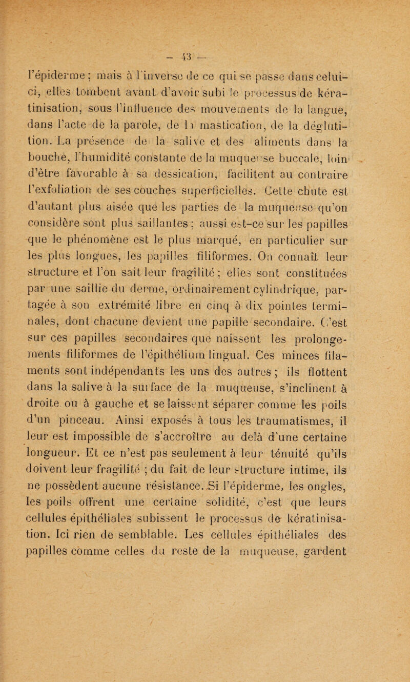 l’épiderme ; mais à l'inverse de ce qui se passe dans celui- ci, elles tombent avant d’avoir subi le processus de kéra¬ tinisation, sous riiilluence des mouvements de la langue, dans l’acte de la parole, de h mastication, de la dégluti¬ tion. La présence de la salive et des aliments dans la bouclie, l'humidité constante de la muqueuse buccale, loin' d’être favorable à sa dessication, facilitent ou contraire l’exfüliation de ses couches superficielles. Cette chute est d’autant plus aisée que les parties de la muqueuse qu’on considère sont plus saillantes; aussi er^t-ce sur les papilles que le phénomène est le plus marqué, en particulier sur les plus longues, les papilles filiformes. On connaîX leur structure et l’on sait leur fragilité; elles sont constituées par une saillie du derme, ordinairement cylindrique, par¬ tagée à son extrémité libre en cinq à dix pointes termi¬ nales, dont chacune devient une papille secondaire, (i’est sur ces papilles secondaires que naissent les prolonge¬ ments filiformes de l’épithélium lingual. Ces minces fila¬ ments sont indépendants les uns des outres; ils flottent dans la salive à la sui face de la muqueuse, s’inclinent à droite ou à gauche et se laissent séparer comme les poils d’un pinceau. Ainsi exposés à tous les traumatismes, il leur est impossible de s’accroître au delà d’une certaine longueur. Et ce n’est pas seulement à leur ténuité qu’ils doivent leur fragilité ; du fait de leur structure intime, ils ne possèdent aucune résistance.,Si l’épiderme, les ongles, les poils offrent une certaine solidité, c’est que leurs cellules épithéliales subissent le processus de- kératinisa¬ tion. Ici rien de semblable. Les cellules épithéliales des papilles comme celles du reste de la muqueuse, gardent