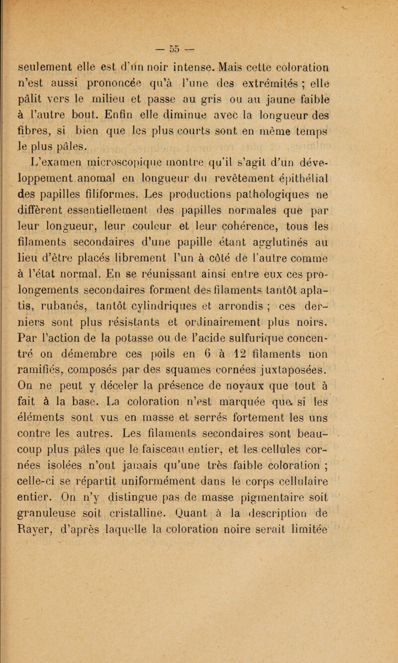 seulement elle est d’ilnnoir intense. Mais cette coloration n’est aussi prononcée qu’à l’une des extrémités ; elle pâlit vers le milieu et passe au gris ou au jaune faible à l’autre bout. Enfin elle diminue avec la lonsfueur des fibres, si bien que les plus courts sont en même temps le plus pâles. L’examen microscopique montre qu’il s’agit d’un déve¬ loppement anomal en longueur du revêtement épithélial des papilles filiformes. Les productions pathologiques ne diffèrent essentiellement des papilles normales que par leur longueur, leur couleur et leur cohérence, tous les filaments secondaires d’une papille étant agglutinés au lieu d’être placés librement l’un à côté de l’autre comme à l’état normal. En se réunissant ainsi entre eux ces pro¬ longements secondaires forment des filaments tantôt apla¬ tis, rubanés, tantôt cylindriques et arrondis ; ces der¬ niers sont plus résistants et ordinairement plus noirs. Par l’action de la potasse ou de l’acide sulfurique concen¬ tré on démembre ces poils en 6 à 12 filaments non ramifiés, composés par des squames cornées juxtaposées. On ne peut y déceler la présence de noyaux que tout à fait à la base. La coloration n’est marquée que. si les éléments sont vus en masse et serrés fortement les uns contre les autres. Les filaments secondaires sont beau- coup plus pâles que le faisceau entier, et les cellules cor¬ nées isolées n’ont jamais qu’une très faible coloration ; celle-ci se répartit uniformément dans le corps cellulaire entier. On n’y distingue pas de masse pigmentaire soit granuleuse soit cristalline. Quant à la description de Rayer, d’après laquelle la coloration noire serait limitée ’