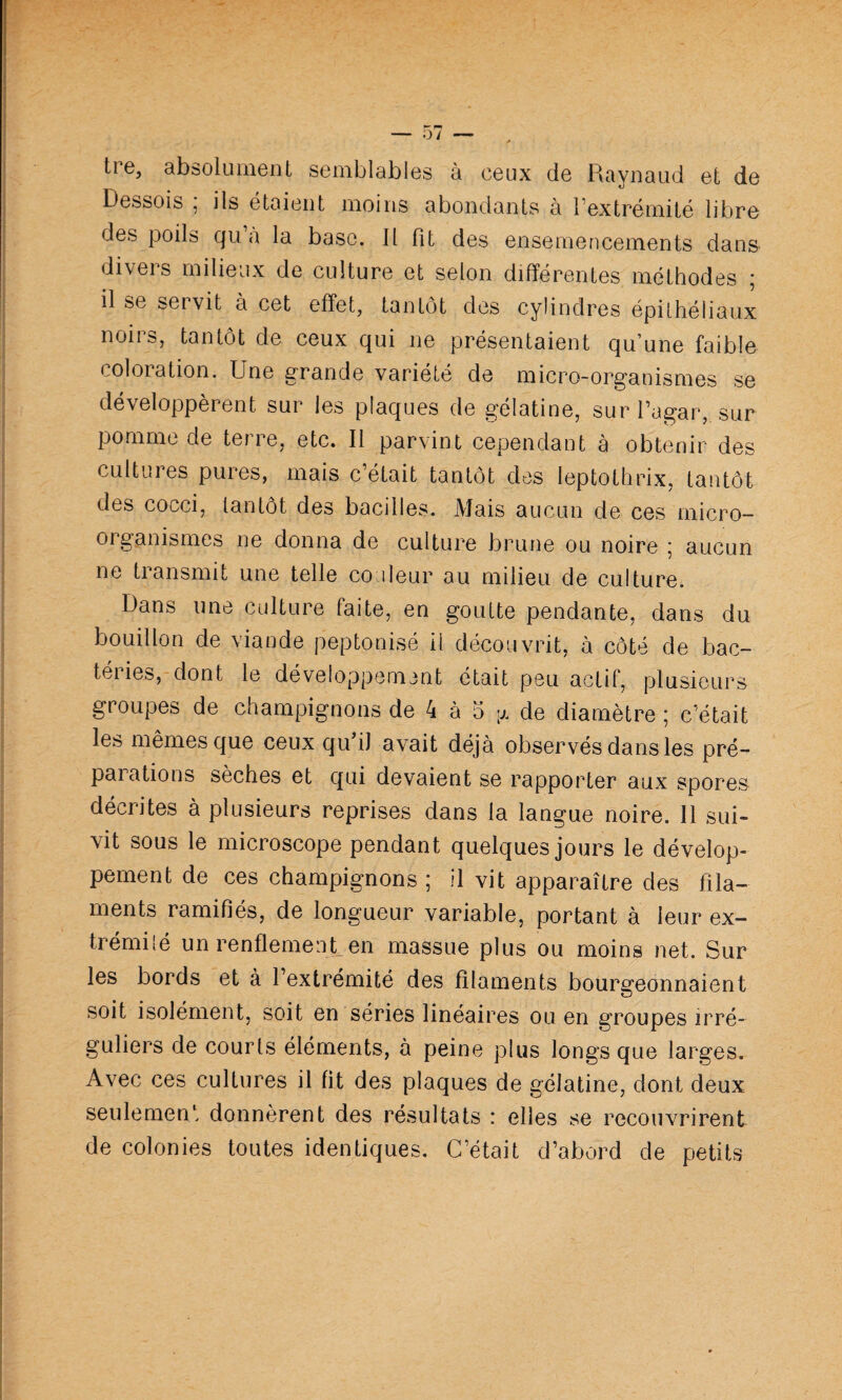 0/ tre, absolument semblables à ceux de Raynaud et de Dessois ; ils étaient moins abondants à l’extrémité libre des poils qu à la base. Il fit des ensemencements dans divers milieux de culture et selon différentes méthodes ; il se seivit à cet effet, tantôt des cylindres épithéliaux noii s, tantôt de ceux qui ne présentaient qu’une faiblo coloration. Une grande variété de micro-organismes se développèrent sur les plaques de gélatine, surl’agar, sur pomme de terre, etc. Il parvint cependant à obtenir des cultures pures, mais c’était tantôt des leptothrix, tantôt des cocci, tantôt des bacilles. Mais aucun de ces micro¬ organismes ne donna de culture brune ou noire ; aucun ne transmit une telle couleur au milieu de culture. Dans une culture faite, en goutte pendante, dans du bouillon de viande peptonisé il découvrit, à côté de bac- téi ies, dont le développement était peu actif, plusieurs groupes de champignons de 4 à 5 -j. de diamètre ; c’était les mêmes que ceux qif ü avait déjà observés dans les pré¬ parations sèches et qui devaient se rapporter aux spores décrites à plusieurs reprises dans la langue noire. Il sui¬ vit sous le microscope pendant quelques jours le dévelop¬ pement de ces champignons ; il vit apparaître des fila¬ ments ramifiés, de longueur variable, portant à leur ex- trémilé un renflement_en massue plus ou moins net. Sur les bords et à l’extrémité des filaments bourgeonnaient soit isolément, soit en séries linéaires ou en groupes irré¬ guliers de courts éléments, à peine plus longs que larges. Avec ces cultures il fit des plaques de gélatine, dont deux seulement donnèrent des résultats : elles se recouvrirent de colonies toutes identiques. C’était d’abord de petits