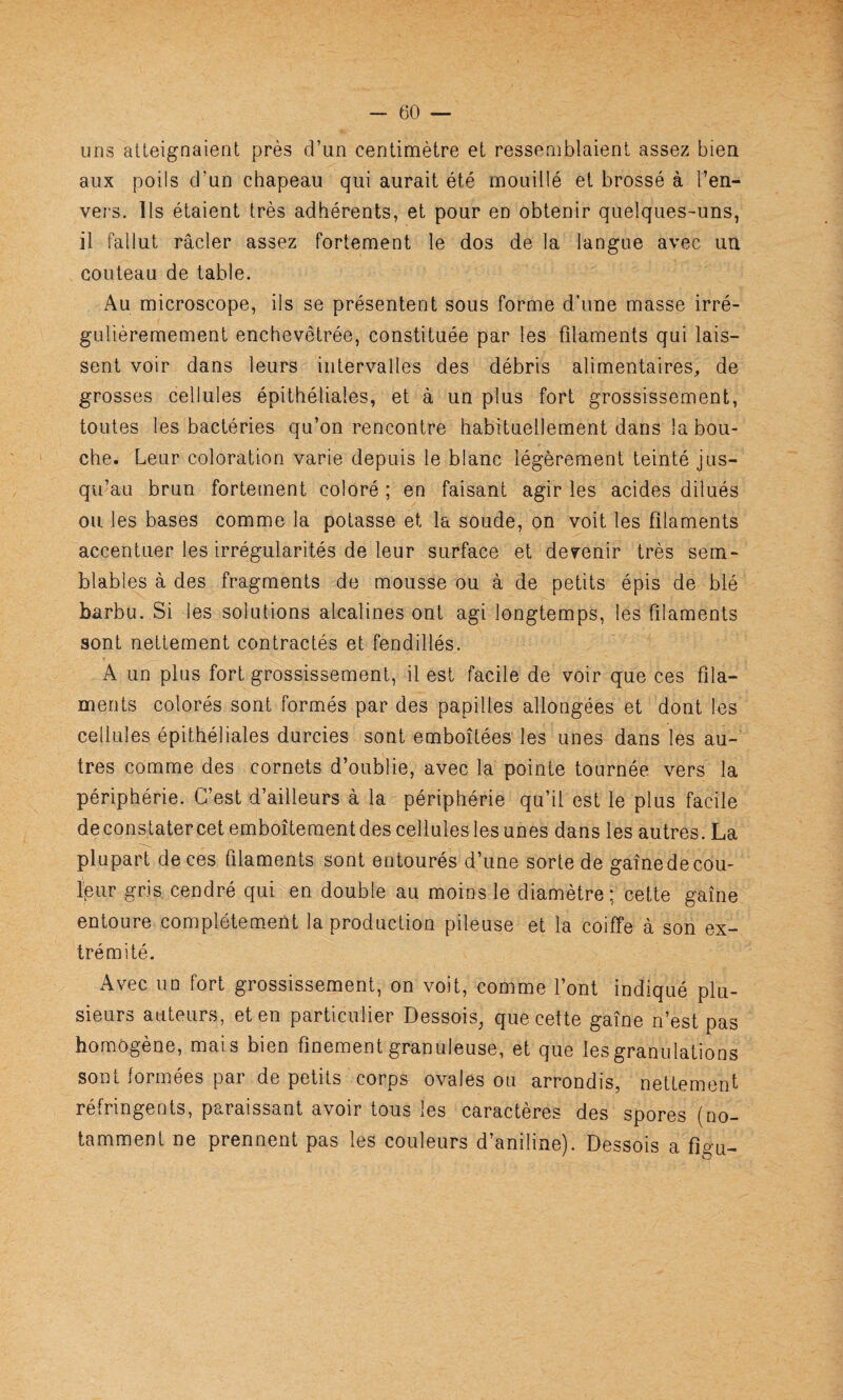 uns atteignaient près d’un centimètre et ressemblaient assez bien aux poils d’un chapeau qui aurait été mouillé et brossé à l’en¬ vers. Ils étaient très adhérents, et pour en obtenir quelques-uns, il fallut racler assez fortement le dos de la langue avec un couteau de table. Au microscope, ils se présentent sous forme d’une masse irré- gulièremement enchevêtrée, constituée par les filaments qui lais¬ sent voir dans leurs intervalles des débris alimentaires, de grosses cellules épithéliales, et à un plus fort grossissement, toutes les bactéries qu’on rencontre habituellement dans la bou¬ che. Leur coloration varie depuis le blanc légèrement teinté jus¬ qu’au brun fortement coloré ; en faisant agir les acides dilués ou les bases comme la potasse et la soude, on voit les filaments accentuer les irrégularités de leur surface et devenir très sem¬ blables à des fragments de mousse ou à de petits épis de blé barbu. Si les solutions alcalines ont agi longtemps, les filaments sont nettement contractés et fendillés. A un plus fort grossissement, il est facile de voir que ces fila¬ ments colorés sont formés par des papilles allongées et dont les cellules épithéliales durcies sont emboîtées les unes dans les au¬ tres comme des cornets d’oublie, avec la pointe tournée vers la périphérie. C’est d’ailleurs à la périphérie qu’il est le plus facile deconstatercetemboîteraentdes cellules les unes dans les autres. La plupart de ces filaments sont entourés d’une sorte de gaine de cou- Ipur gris cendré qui en double au moins le diamètre; cette gaîne entoure complètement la production pileuse et la coiffe à son ex¬ trémité. Avec un fort grossissement, on voit, comme l’ont indiqué plu¬ sieurs auteurs, et en particulier Dessois, que cette gaîne n’est pas homogène, mais bien finement granuleuse, et que les granulations sont formées par de petits corps ovales ou arrondis, nettement réfringents, paraissant avoir tous les caractères des spores (no¬ tamment ne prennent pas les couleurs d’aniline). Dessois a fîgu-