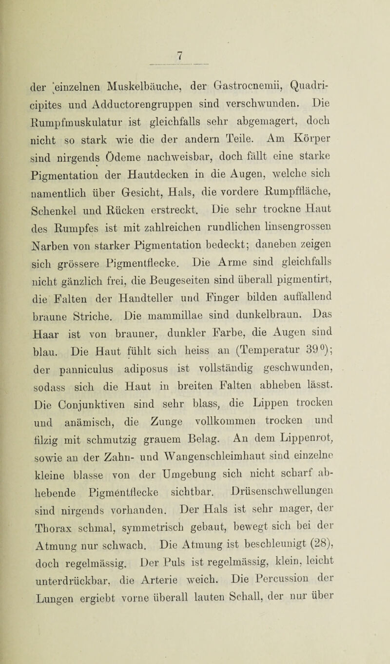 der einzelnen Muskelbäuche, der Gastrocnemii, Quadri- cipites und Adductorengruppen sind verschwunden. Die Rumpfmuskulatur ist gleichfalls sehr ahgemagert, doch nicht so stark wie die der andern Teile. Am Körper sind nirgends Ödeme nachweisbar, doch fällt eine starke Pigmentation der Hautdecken in die Augen, welche sich namentlich über Gesicht, Hals, die vordere Rumpffläche, Schenkel und Rücken erstreckt. Die sehr trockne Haut des Rumpfes ist mit zahlreichen rundlichen linsengrossen Narben von starker Pigmentation bedeckt; daneben zeigen sich grössere Pigmentflecke. Die Arme sind gleichfalls nicht gänzlich frei, die Beugeseiten sind überall pigmentirt, die Palten der Handteller und Finger bilden auffallend braune Striche. Die mammillae sind dunkelbraun. Das Haar ist von brauner, dunkler Farbe, die Augen sind blau. Die Haut fühlt sich heiss an (Temperatur 39°); der panniculus adiposus ist vollständig geschwunden, sodass sich die Haut in breiten Falten abheben lässt. Die Conjunktiven sind sehr blass, die Lippen trocken und anämisch, die Zunge vollkommen trocken und filzig mit schmutzig grauem Belag. An dem Lippenrot, sowie an der Zahn- und Wangenschleimhaut sind einzelne kleine blasse von der Umgebung sich nicht scharf ab¬ hebende Pigmentliecke sichtbar. Drüsenschwellungen sind nirgends vorhanden. Der Hals ist sehr mager, der Thorax schmal, symmetrisch gebaut, bewegt sich bei der Atmung nur schwach. Die Atmung ist beschleunigt (28), doch regelmässig. Der Puls ist regelmässig, klein, leicht unterdrückbar, die Arterie weich. Die Percussion der Lungen ergiebt vorne überall lauten Schall, der nur über