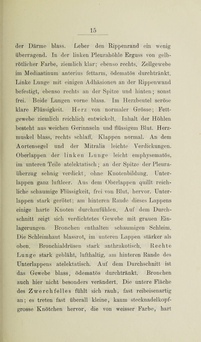 der Därme blass. Leber den Rippenrand ein wenig überragend. In der linken Pleurahöhle Erguss von gelb¬ rötlicher Farbe, ziemlich klar; ebenso rechts. Zellgewebe im Mediastinum anterius fettarm, ödematös durchtränkt. Linke Lunge mit einigen Adhäsionen an der Rippenwand befestigt, ebenso rechts an der Spitze und hinten; sonst frei. Beide Lungen vorne blass. Im Herzbeutel seröse klare Flüssigkeit. Herz von normaler Grösse; Fett¬ gewebe ziemlich reichlich entwickelt. Inhalt der Höhlen besteht aus weichen Gerinnseln und flüssigem Blut. Herz¬ muskel blass, rechts schlaff. Klappen normal. An dem Aortensegel und der Mitralis leichte Verdickungen. Oberlappen der linken Lunge leicht emphysematos, im unteren Teile atelektatisch; an der Spitze der Pleura- überzug sehnig verdickt, ohne Knotenbildung. Unter¬ lappen ganz luftleer. Aus dem Oberlappen quillt reich¬ liche schaumige Flüssigkeit, frei von Blut, hervor. Unter¬ lappen stark gerötet; am hinteren Rande dieses Lappens einige harte Knoten durchzufülilen. Auf dem Durch¬ schnitt zeigt sich verdichtetes Gewebe mit grauen Ein¬ lagerungen. Bronchen enthalten schaumigen Schleim. Die Schleimhaut blassrot, im unteren Lappen stärker als oben. Bronchialdrüsen stark anthrakotisch. Rechte Lunge stark gebläht, lufthaltig, am hinteren Rande des Unterlappens atelektatisch. Auf dem Durchschnitt ist das Gewebe blass, ödematös durchtränkt. Bronchen auch hier nicht besonders verändert. Die untere Fläche des Zwerchfelles fühlt sich rauh, fast reibeisenartig an; es treten fast überall kleine, kaum stecknadelkopf¬ grosse Knötchen hervor, die von weisser Farbe, hart