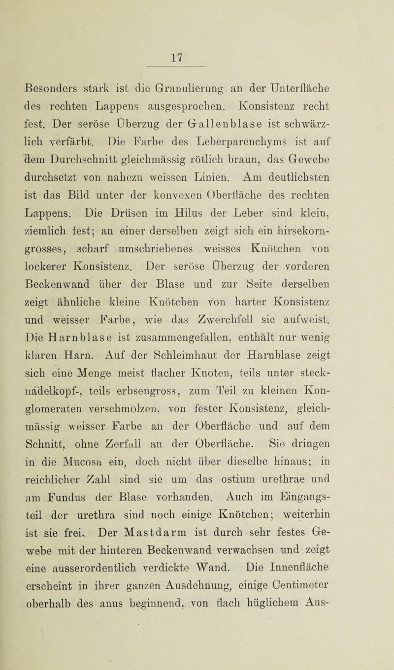 Besonders stark ist die Granulierung an der Unterfläche des rechten Lappens ausgesprochen. Konsistenz recht fest. Der seröse Überzug der Gallenblase ist schwärz¬ lich verfärbt. Die Farbe des Leberparenchyms ist auf dem Durchschnitt gleichmässig rötlich braun, das Gewebe durchsetzt von nahezu weissen Linien. Am deutlichsten ist das Bild unter der konvexen Oberfläche des rechten Lappens. Die Drüsen im Hilus der Leber sind klein, ziemlich fest; an einer derselben zeigt sich ein hirsekorn- grosses, scharf umschriebenes weisses Knötchen von lockerer Konsistenz. Der seröse Überzug der vorderen Beckenwand über der Blase und zur Seite derselben zeigt ähnliche kleine Knötchen von harter Konsistenz und weisser Farbe, wie das Zwerchfell sie aufweist. Die Harnblase ist zusammengefallen, enthält nur wenig- klaren Harn. Auf der Schleimhaut der Harnblase zeigt sich eine Menge meist flacher Knoten, teils unter steck- nadelkopf-, teils erbsengross, zum Teil zu kleinen Kon¬ glomeraten verschmolzen, von fester Konsistenz, gleich¬ mässig weisser Farbe an der Oberfläche und auf dem Schnitt, ohne Zerfall an der Oberfläche. Sie dringen in die Mucosa ein, doch nicht über dieselbe hinaus; in reichlicher Zahl sind sie um das ostium urethrae und am Fundus der Blase vorhanden. Auch im Eingangs¬ teil der urethra sind noch einige Knötchen; weiterhin ist sie frei. Der Mastdarm ist durch sehr festes Ge¬ webe mit der hinteren Beckenwand verwachsen und zeigt eine ausserordentlich verdickte Wand. Die Innenfläche erscheint in ihrer ganzen Ausdehnung, einige Centimeter oberhalb des anus beginnend, von flach hüglichem Aus-