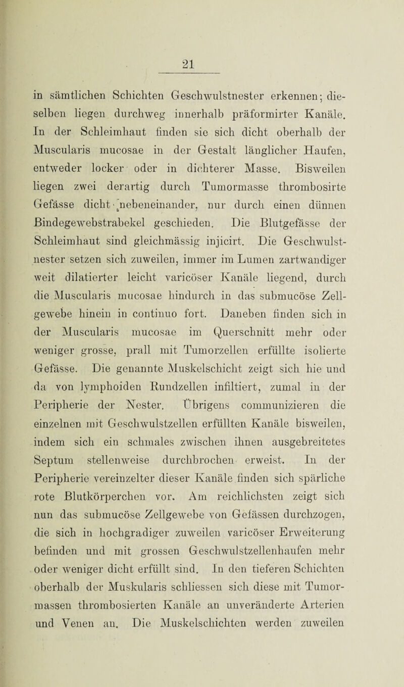 in sämtlichen Schichten Geschwulstnester erkennen; die¬ selben liegen durchweg innerhalb präformirter Kanäle. In der Schleimhaut linden sie sich dicht oberhalb der Muscularis mucosae in der Gestalt länglicher Haufen, entweder locker oder in dichterer Masse. Bisweilen liegen zwei derartig durch Tumormasse thrombosirte Gefässe dicht ^nebeneinander, nur durch einen dünnen Bindegewebstrabekel geschieden. Die Blutgefässe der Schleimhaut sind gleichmässig injicirt. Die Geschwulst¬ nester setzen sich zuweilen, immer im Lumen zartwandiger weit dilatierter leicht varicöser Kanäle liegend, durch die Muscularis mucosae hindurch in das submucöse Zell¬ gewebe hinein in continuo fort. Daneben finden sich in der Muscularis mucosae im Querschnitt mehr oder weniger grosse, prall mit Tumorzellen erfüllte isolierte Gefässe. Die genannte Muskelschicht zeigt sich hie und da von lymphoiden Bundzellen infiltiert, zumal in der Peripherie der Nester. Übrigens communizieren die einzelnen mit Geschwulstzellen erfüllten Kanäle bisweilen, indem sich ein schmales zwischen ihnen ausgebreitetes Septum stellenweise durchbrochen erweist. In der Peripherie vereinzelter dieser Kanäle finden sich spärliche rote Blutkörperchen vor. Am reichlichsten zeigt sich nun das submucöse Zellgewebe von Gefässen durchzogen, die sich in hochgradiger zuweilen varicöser Erweiterung befinden und mit grossen Geschwulstzellenhaufen mehr oder weniger dicht erfüllt sind. In den tieferen Schichten oberhalb der Muskularis schliessen sich diese mit Tumor¬ massen thrombosierten Kanäle an unveränderte Arterien und Venen an. Die Muskelschichten werden zuweilen