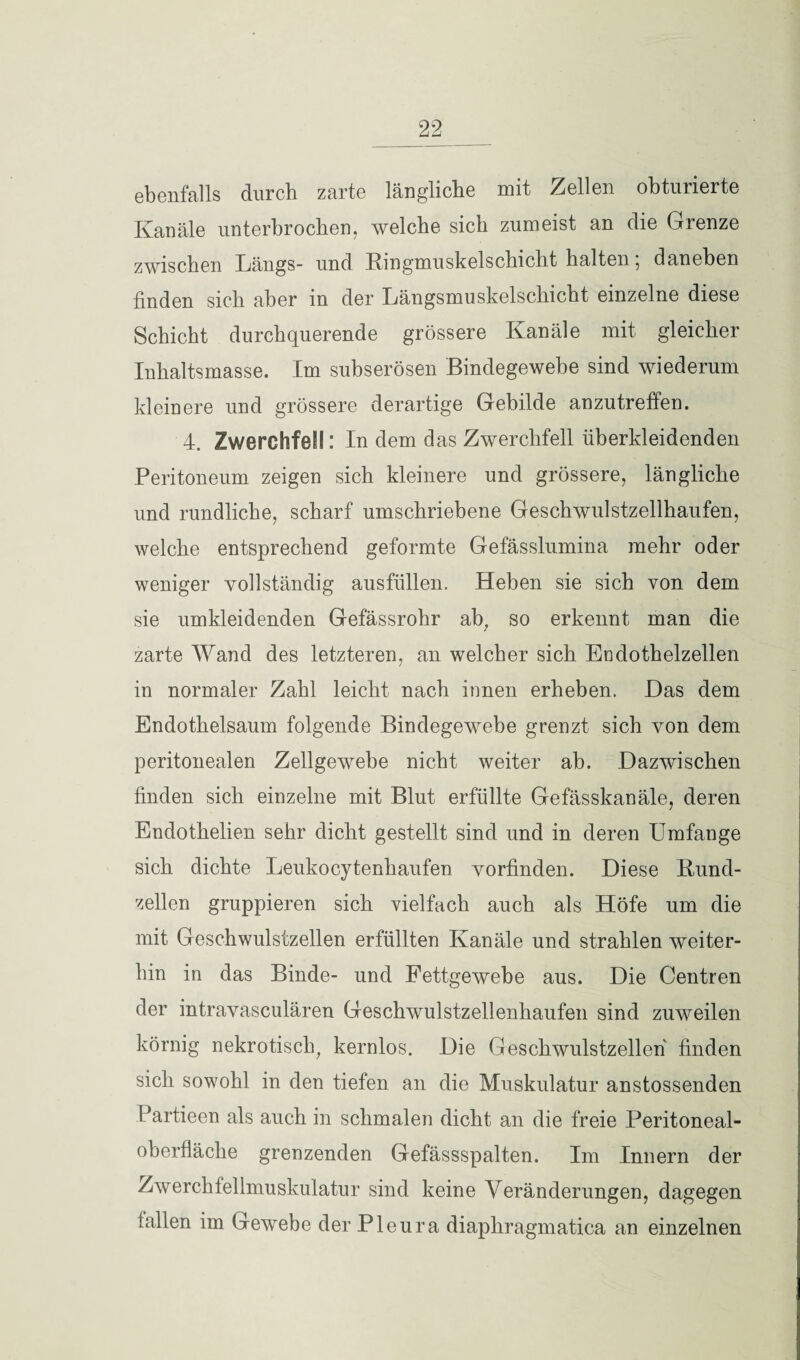 ebenfalls durch zarte längliche mit Zellen obturierte Kanäle unterbrochen, welche sich zumeist an die Grenze zwischen Längs- und Ringmuskelschicht halten*, daneben finden sich aber in der Längsmuskelschicht einzelne diese Schicht durchquerende grössere Kanäle mit gleicher Inhaltsmasse. Im subserösen Bindegewebe sind wiederum kleinere und grössere derartige Gebilde anzutreffen. 4. Zwerchfell: In dem das Zwerchfell überkleidenden Peritoneum zeigen sich kleinere und grössere, längliche und rundliche, scharf umschriebene Geschwulstzellhaufen, welche entsprechend geformte Gefässlumina mehr oder weniger vollständig ausfüllen. Heben sie sich von dem sie umkleidenden Gefässrohr ab, so erkennt man die zarte Wand des letzteren, an welcher sich Endothelzellen in normaler Zahl leicht nach innen erheben. Das dem Endothelsaum folgende Bindegewebe grenzt sich von dem peritonealen Zellgewebe nicht weiter ab. Dazwischen finden sich einzelne mit Blut erfüllte Gefässkanäle, deren Endothelien sehr dicht gestellt sind und in deren Umfange sich dichte Leukocytenhaufen vorfinden. Diese Rund¬ zellen gruppieren sich vielfach auch als Höfe um die mit Geschwulstzellen erfüllten Kanäle und strahlen weiter¬ hin in das Binde- und Fettgewebe aus. Die Centren der intravasculären Geschwulstzellenhaufen sind zuweilen körnig nekrotisch, kernlos. Die Gesckwulstzellen finden sich sowohl in den tiefen an die Muskulatur anstossenden Partieen als auch in schmalen dicht an die freie Peritoneal¬ oberfläche grenzenden Gefässspalten. Im Innern der Zwerchfellmuskulatur sind keine Veränderungen, dagegen lallen im Gewebe der Pleura diaphragmatica an einzelnen