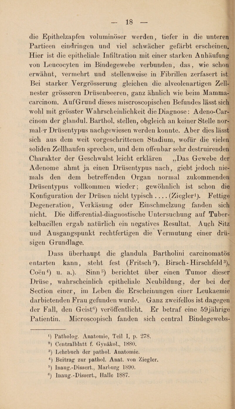 die Epithelzapfen voluminöser werden, tiefer in die unteren Partieen eindringen und viel schwächer gefärbt erscheinen. Hier ist die epitheliale Infiltration mit einer starken Anhäufung von Leucocyten im Bindegewebe verbunden, das, wie schon erwähnt, vermehrt und stellenweise in Fibrillen zerfasert ist. Bei starker Vergrösserung gleichen die alveolenartigen Zeih nester grösseren Drüsenbeeren, ganz ähnlich wie beim Mamma- carcinom. AufGrund dieses miscroscopischen Befundes lässt sich wohl mit grösster Wahrscheinlichkeit die Diagnose: Adeno-Car- cinom der glandul. Barthol. stellen, obgleich an keiner Stelle nor¬ maler Drüsentypus nachgewiesen werden konnte. Aber dies lässt sich aus dem weit vorgeschrittenen Stadium, wofür die vielen soliden Zellhaufen sprechen, und dem offenbar sehr destruirenden Charakter der Geschwulst leicht erklären „Das Gewebe der Adenome ahmt ja einen Drüsentypus nach, giebt jedoch nie¬ mals den dem betreffenden Organ normal zukommenden Drüsentypus vollkommen wieder; gewöhnlich ist schon die Konfiguration der Drüsen nicht typisch .... (Ziegler1)* Fettige Degeneration, Verkäsung oder Einschmelzung fanden sich nicht. Die differential-diagnostische Untersuchung auf Tuber¬ kelbacillen ergab natürlich ein negatives Besultat. Auch Sitz und Ausgangspunkt rechtfertigen die Vermutung einer drü¬ sigen Grundlage. Dass überhaupt die glandula Bartholini carcinomatös entarten kann, steht fest (Fritsch2), Birsch - Hirschfeld3), Coen4) u. a.). Sinn5) berichtet über einen Tumor dieser Drüse, wahrscheinlich epitheliale Neubildung, der bei der Section einer, im Leben die Erscheinungen einer Leukaemie darbietenden Frau gefunden wurde. Ganz zweifellos ist dagegen der Fall, den Geist6) veröffentlicht. Er betraf eine 59jährige Patientin. Microscopisch fanden sich central Bindegewebs- Patholog. Anatomie, Teil I, p. 278. 2) Centralblatt f. Gynäkol., 1880. 3) Lehrbuch der pathol. Anatomie. 4) Beitrag zur pathol. Anat. von Ziegler. 5) Inaug.-Dissert., Marburg 1890. 6) Inaug.-Dissert., Halle 1887.
