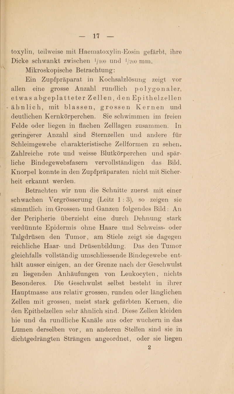 toxylin, teilweise mit Haematoxylin-Eosin gefärbt, ihre Dicke schwankt zwischen */100 und */200 mm. Mikroskopische Betrachtung: Ein Zupfpräparat in Kochsalzlösung zeigt vor allen eine grosse Anzahl rundlich polygonaler, etwas abgeplatteter Zellen, d en Ep it hei zellen • ähnlich, mit blassen, grossen Kernen und deutlichen Kernkörperchen. Sie schwimmen im freien Felde oder liegen in flachen Zelllagen zusammen. In geringerer Anzahl sind Sternzellen und andere für Schleimgewebe charakteristische Zellformen zu sehen. Zahlreiche rote und weisse Blutkörperchen und spär¬ liche Bindegewebsfasern vervollständigen das Bild. Knorpel konnte in den Zupfpräparaten nicht mit Sicher¬ heit erkannt werden. Betrachten wir nun die Schnitte zuerst mit einer i schwachen Vergrösserung (Leitz 1 : 3), so zeigen sie sämmtlich im Grossen, und Ganzen folgendes Bild : An der Peripherie überzieht eine durch Dehnung stark verdünnte Epidermis ohne Haare und Schweiss- oder Talgdrüsen den Tumor, am Stiele zeigt sie dagegen reichliche Haar- und Drüsenbildung. Das den Tumor gleichfalls vollständig umschliessende Bindegewebe ent¬ hält ausser einigen, an der Grenze nach der Geschwulst zu liegenden Anhäufungen von Leukocyten, nichts Besonderes. Die Geschwulst selbst besteht in ihrer Hauptmasse aus relativ grossen, runden oder länglichen Zellen mit grossen, meist stark gefärbten Kernen, die den Epithelzellen sehr ähnlich sind. Diese Zellen kleiden hie und da rundliche Kanäle aus oder wuchern in das Lumen derselben vor, an anderen Stellen sind sie in dichtgedrängten Strängen angeordnet, oder sie liegen 2