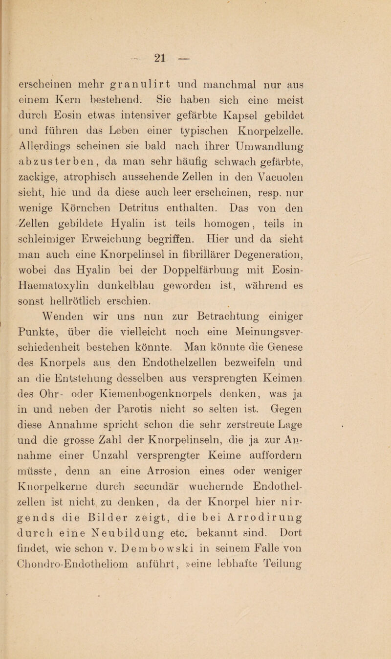 erscheinen mehr granulirt und manchmal nur aus einem Kern bestehend. Sie haben sich eine meist durch Eosin etwas intensiver gefärbte Kapsel gebildet und führen das Leben einer typischen Knorpelzelle. Allerdings scheinen sie bald nach ihrer Umwandlung abzusterben, da man sehr häufig schwach gefärbte, zackige, atrophisch aussehende Zellen in den Vacuolen sieht, hie und da diese auch leer erscheinen, resp. nur wenige Körnchen Detritus enthalten. Das von den Zellen gebildete Hyalin ist teils homogen, teils in schleimiger Erweichung begriffen. Hier und da sieht man auch eine Knorpelinsel in fibrillärer Degeneration, wobei das Hyalin bei der Doppelfärbung mit Eosin- Haematoxylin dunkelblau geworden ist, während es sonst hellrötlich erschien. Wenden wir uns nun zur Betrachtung einiger Punkte, über die vielleicht noch eine Meinungsver¬ schiedenheit bestehen könnte. Man könnte die Genese des Knorpels aus den Endothelzellen bezweifeln und an die Entstehung desselben aus versprengten Keimen des Ohr- oder Kiemenbogenknorpels denken, was ja in und neben der Parotis nicht so selten ist. Gegen diese Annahme spricht schon die sehr zerstreute Lage und die grosse Zahl der Knorpelinseln, die ja zur An¬ nahme einer Unzahl versprengter Keime auffordern müsste, denn an eine Arrosion eines oder weniger Knorpelkerne durch secundär wuchernde Endothel¬ zellen ist nicht zu denken, da der Knorpel hier nir¬ gends die Bilder zeigt, die bei Arrodirung durch eine Neubildung etc. bekannt sind. Dort findet, wie schon v. Dembowski in seinem Falle von Chondro-Endotheliom anführt, »eine lebhafte Teilung
