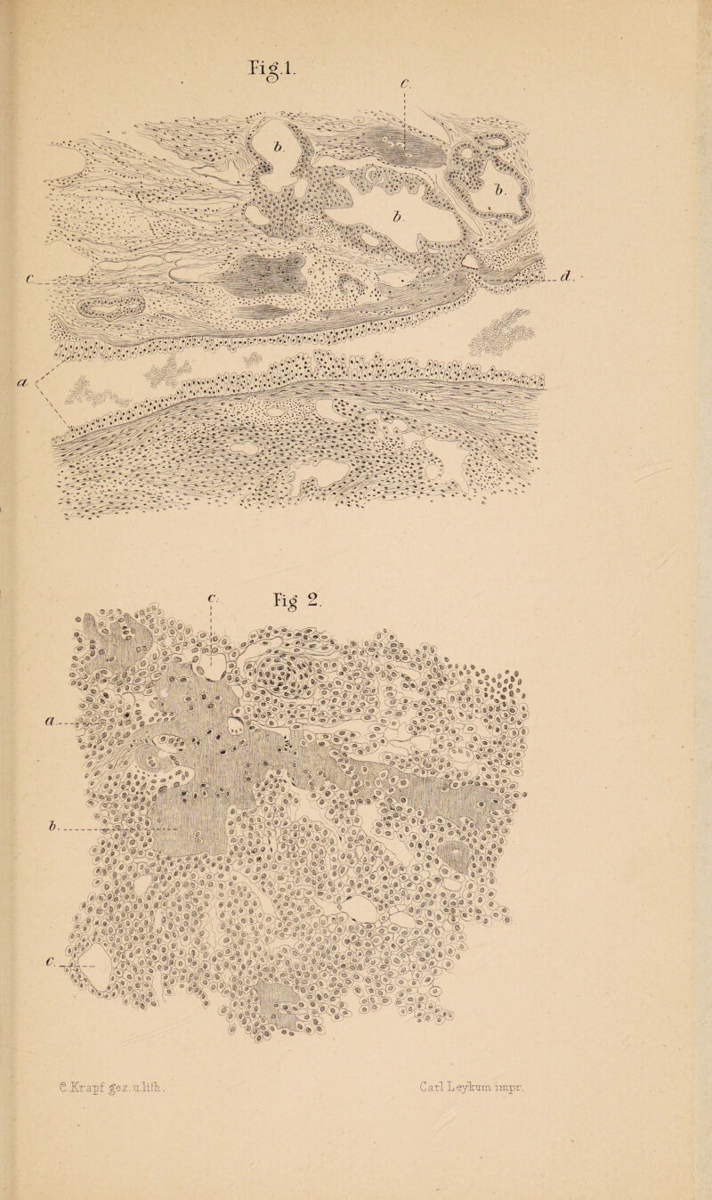 <%Är 1' tfJÄäte »0,Ä •»' • ®- ig-.O Ä»; •; »X?-® S - c “ < ■; ,1 -0 • lu;. f» j@(£> t) $&4g ■ c#) £ ««<':•> ®:V 'faBF ( ®f®^9 ;<= . iMp^t Sk4«V® a&vMfi® wplvC^1' #' %®:|® ' V räÄS»'. iß&KSOä S.Krapf gez.u.liHi. Carl L ey-bim impr.