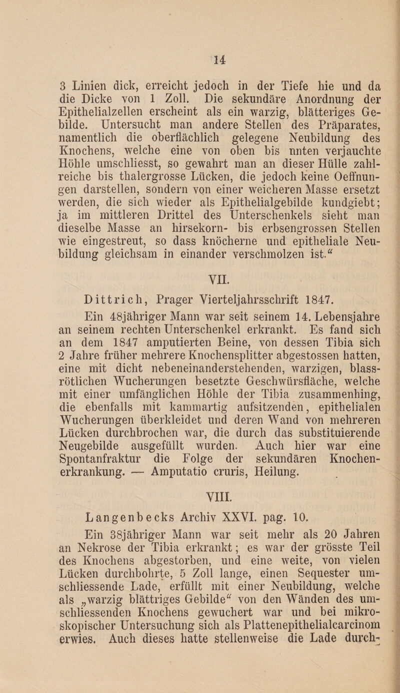 3 Linien dick, erreicht jedoch in der Tiefe hie und da die Dicke von 1 Zoll. Die sekundäre Anordnung der Epithelialzellen erscheint als ein warzig, blätteriges Ge¬ bilde. Untersucht man andere Stellen des Präparates, namentlich die oberflächlich gelegene Neubildung des Knochens, welche eine von oben bis unten verjauchte Höhle umschliesst, so gewahrt man an dieser Hülle zahl¬ reiche bis thalergrosse Lücken, die jedoch keine Oeffnun- gen darstellen, sondern von einer weicheren Masse ersetzt werden, die sich wieder als Epithelialgebilde kundgiebt; ja im mittleren Drittel des Unterschenkels sieht man dieselbe Masse an hirsekorn- bis erbsengrossen Stellen wie eingestreut, so dass knöcherne und epitheliale Neu¬ bildung gleichsam in einander verschmolzen ist. VII. Dittrich, Prager Vierteljahrsschrift 1847. Ein 48jähriger Mann war seit seinem 14. Lebensjahre an seinem rechten Unterschenkel erkrankt. Es fand sich an dem 1847 amputierten Beine, von dessen Tibia sich 2 Jahre früher mehrere Knochensplitter abgestossen hatten, eine mit dicht nebeneinanderstehenden, warzigen, blass¬ rötlichen Wucherungen besetzte Geschwürsfläche, welche mit einer umfänglichen Höhle der Tibia zusammenhing, die ebenfalls mit kammartig aufsitzenden, epithelialen Wucherungen überkleidet und deren Wand von mehreren Lücken durchbrochen war, die durch das substituierende Neugebilde ausgefüllt wurden. Auch hier war eine Spontanfraktur die Folge der sekundären Knochen¬ erkrankung. — Amputatio cruris, Heilung. VIII. Langenbecks Archiv XXVI. pag. 10. Ein 38jähriger Mann war seit mehr als 20 Jahren an Nekrose der Tibia erkrankt; es war der grösste Teil des Knochens abgestorben, und eine weite, von vielen Lücken durchbohrte, 5 Zoll lange, einen Sequester um- schliessende Lade, erfüllt mit einer Neubildung, welche als „warzig blättriges Gebilde von den Wänden des um- schliessenden Knochens gewuchert war und bei mikro¬ skopischer Untersuchung sich als Plattenepithelialcarcinom erwies. Auch dieses hatte stellenweise die Lade durch-