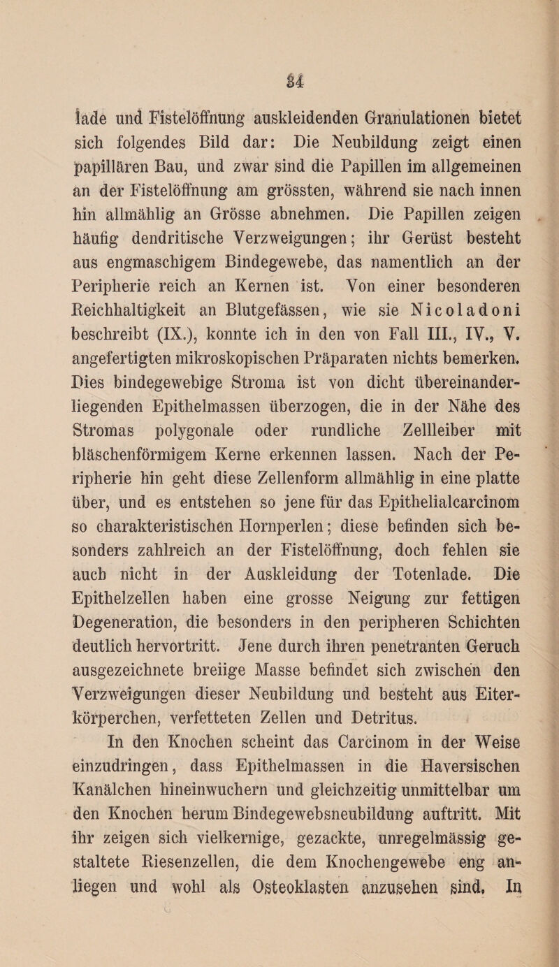 lade und Fistelöffnung auskleidenden Granulationen bietet sich folgendes Bild dar: Die Neubildung zeigt einen papillären Bau, und zwar sind die Papillen im allgemeinen an der Fistelöffnung am grössten, während sie nach innen hin allmählig an Grösse abnehmen. Die Papillen zeigen häufig dendritische Verzweigungen; ihr Gerüst besteht aus engmaschigem Bindegewebe, das namentlich an der Peripherie reich an Kernen ist. Von einer besonderen Reichhaltigkeit an Blutgefässen, wie sie Nicoladoni beschreibt (IX.), konnte ich in den von Fall III., IV.? V. angefertigten mikroskopischen Präparaten nichts bemerken. Dies bindegewebige Stroma ist von dicht übereinander¬ liegenden Epithelmassen überzogen, die in der Nähe des Stromas polygonale oder rundliche Zellleiber mit bläschenförmigem Kerne erkennen lassen. Nach der Pe¬ ripherie hin geht diese Zellenform allmählig in eine platte über, und es entstehen so jene für das Epithelialcarcinom so charakteristischen Hornperlen; diese befinden sich be¬ sonders zahlreich an der Fistelöffnung, doch fehlen sie auch nicht in der Auskleidung der Totenlade. Die Epithelzellen haben eine grosse Neigung zur fettigen Degeneration, die besonders in den peripheren Schichten deutlich hervortritt. Jene durch ihren penetranten Geruch ausgezeichnete breiige Masse befindet sich zwischen den Verzweigungen dieser Neubildung und besteht aus Eiter¬ körperchen, verfetteten Zellen und Detritus. In den Knochen scheint das Carcinom in der Weise einzudringen, dass Epithelmassen in die Haversischen Kanälchen hineinwuchern und gleichzeitig unmittelbar um den Knochen herum Bindegewebsneubildung auftritt. Mit ihr zeigen sich vielkernige, gezackte, unregelmässig ge¬ staltete Riesenzellen, die dem Knochengewebe eng an« liegen und wohl als Osteoklasten anzusehen sind, In