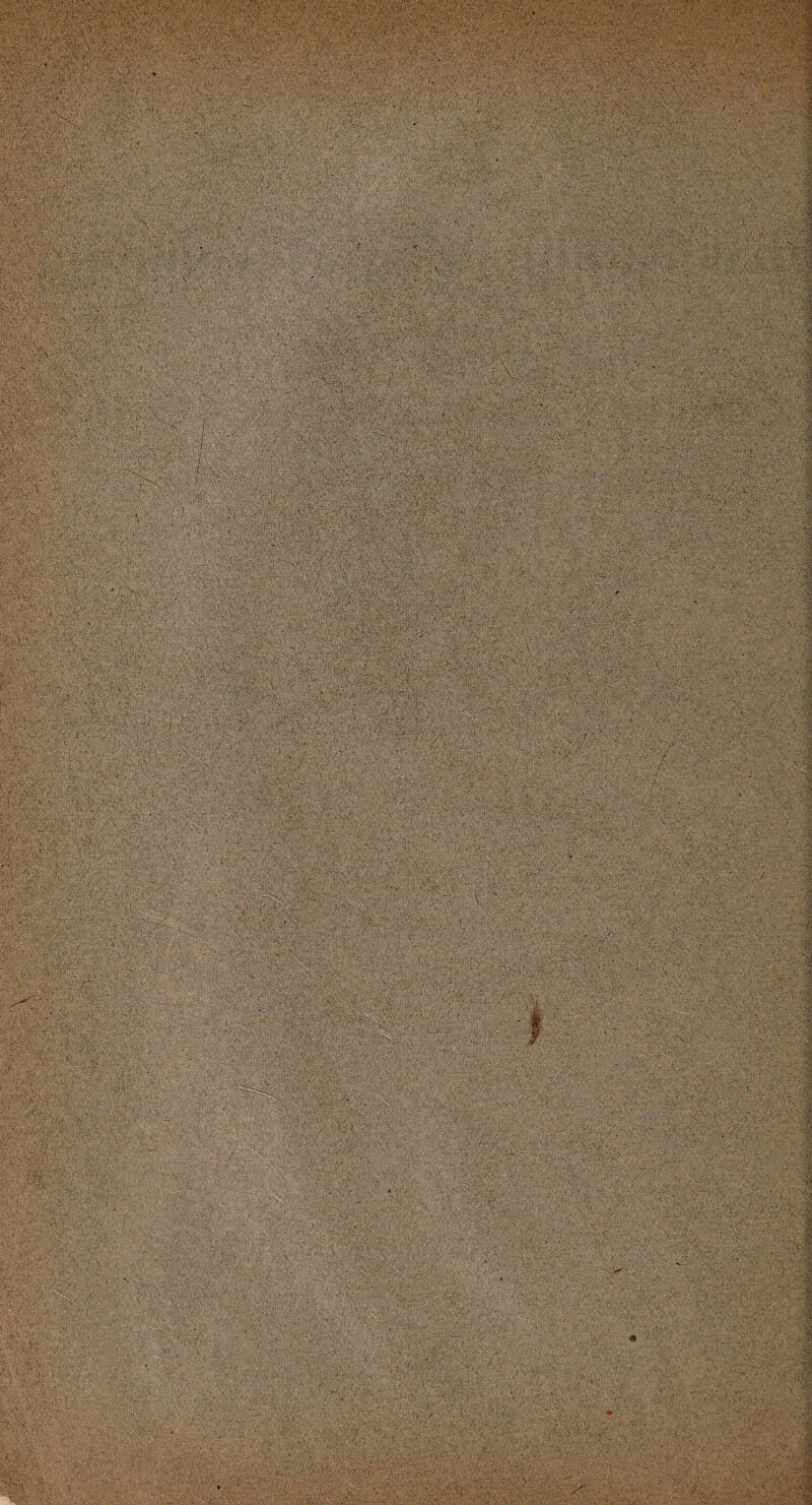 i tsä '