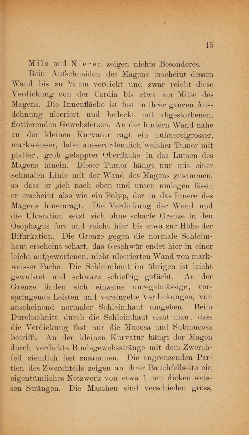 Milz und Nieren zeigen nichts Besonderes. Beim Aufschneiden des Magens erscheint dessen Wand bis zu 3A cm verdickt und zwar reicht diese Verdickung von der Cardia bis etwa zur Mitte des Magens. Die Innenfläche ist fast in ihrer ganzen Aus¬ dehnung ulceriert und bedeckt mit abgestorbenen, flottierenden Qewebsfetzen. An der hintern Wand nahe an der kleinen Kurvatur ragt ein hühnereigrosser, markweisser, dabei ausserordentlich weicher Tumor mit platter, grob gelappter Oberfläche in das Lumen des Magens hinein. Dieser Tumor hängt nur mit einer schmalen Linie mit der Wand des Magens zusammen, so dass er jfich nach oben und unten umlegen lässt; er erscheint also wie ein Polyp, der in das Innere des Magens hineinragt. Die Verdickung der Wand und die Ulceration setzt sich ohne scharfe Grenze in den Ösophagus fort und reicht hier bis etwa zur Höhe der Bifurkation. Die Grenze gegen die normale Schleim¬ haut erscheint scharf, das Geschwür endet hier in einer leicht aufgeworfenen, nicht ulcerierten Wand von mark¬ weisser Farbe. Die Schleimhaut im übrigen ist leicht gewulstet und schwarz schiefrig gefärbt. An der Grenze finden sich einzelne unregelmässige, vor¬ springende Leisten und vereinzelte Verdickungen, von anscheinend normaler Schleimhaut umgeben. Beim Durchschnitt durch die Schleimhaut sieht man, dass die Verdickung fast nur die Mucosa und Submucosa betrifft. An der kleinen Kurvatur hängt der Magen durch verdickte Bindegewebsstränge mit dem Zwerch¬ fell ziemlich fest zusammen. Die angrenzenden Par¬ tien des Zwerchfells zeigen an ihrer Bauchfellseite ein eigentümliches Netzwerk von etwa 1 mm dicken weis- sen Strängen. Die Maschen sind verschieden gross,