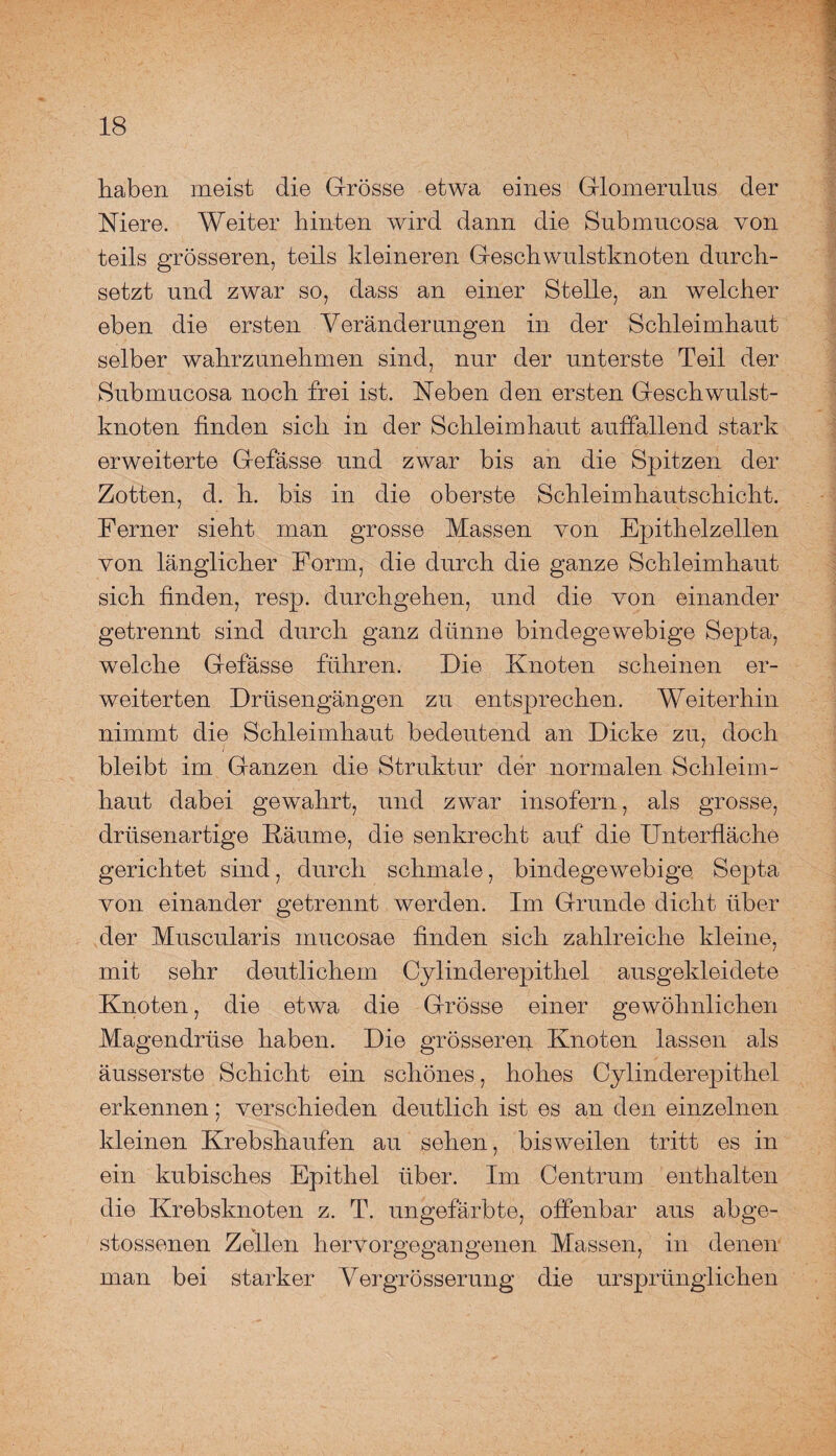 haben meist die Grösse etwa eines Glomerulns der Niere. Weiter hinten wird dann die Submucosa von teils grösseren, teils kleineren Geschwulstknoten durch¬ setzt und zwar so, dass an einer Stelle, an welcher eben die ersten Veränderungen in der Schleimhaut selber wahrzunehmen sind, nur der unterste Teil der Submucosa noch frei ist. Neben den ersten Geschwulst¬ knoten finden sich in der Schleimhaut auffallend stark erweiterte Gefässe und zwar bis an die Spitzen der Zotten, d. h. bis in die oberste Schleimhautschicht. Ferner sieht man grosse Massen von Epithelzellen von länglicher Form, die durch die ganze Schleimhaut sich finden, resp. durchgehen, und die von einander getrennt sind durch ganz dünne bindegewebige Septa, welche Gefässe führen. Die Knoten scheinen er¬ weiterten Drüsengängen zu entsprechen. Weiterhin nimmt die Schleimhaut bedeutend an Dicke zu, doch bleibt im Ganzen die Struktur der normalen Schleim¬ haut dabei gewahrt, und zwar insofern, als grosse, drüsenartige Räume, die senkrecht auf die Unterfiäche gerichtet sind, durch schmale, bindegewebige Septa von einander getrennt werden. Im Grunde dicht über der Muscularis mucosae finden sich zahlreiche kleine, mit sehr deutlichem Cylinderepithel ausgekleidete Knoten, die etwa die Grösse einer gewöhnlichen Magendrüse haben. Die grösseren Knoten lassen als äusserste Schicht ein schönes, hohes Cylinderepithel erkennen; verschieden deutlich ist es an den einzelnen kleinen Krebshaufen au sehen, bisweilen tritt es in ein kubisches Epithel über. Im Centrum enthalten die Krebsknoten z. T. ungefärbte, offenbar aus abge- stossenen Zellen hervorgegangenen Massen, in denen man bei starker Vergrösserung die ursprünglichen
