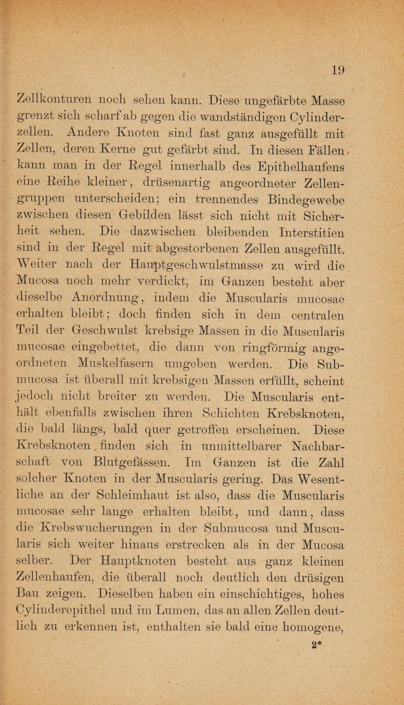 Zellkonturen noch sehen kann. Diese ungefärbte Masse grenzt sich scharf ab gegen die wandständigen Cylinder- zeilen. Andere Knoten sind fast ganz ausgefüllt mit Zellen, deren Kerne gut gefärbt sind. In diesen Fällen kann man in der Kegel innerhalb des Epithelhaufens eine Reihe kleiner, drüsenartig angeordneter Zellen¬ gruppen unterscheiden; ein trennendes Bindegewebe zwischen diesen (Gebilden lässt sich nicht mit Sicher¬ heit sehen. Die dazwischen bleibenden Interstitien sind in der Regel mit abgestorbenen Zellen ausgefüllt. Weiter nach der Hauptgeschwulstmasse zu wird die Mucosa noch mehr verdickt, im Ganzen besteht aber dieselbe Anordnung, indem die Muscularis mucosae erhalten bleibt; doch finden sich in dem centralen Teil der Geschwulst krebsige Massen in die Muscularis mucosae eingebettet, die dann von ringförmig ange¬ ordneten Muskelfasern umgeben werden. Die Sub- mucosa ist überall mit krebsigen Massen erfüllt, scheint jedoch nicht breiter zu werden. Die Muscularis ent¬ hält ebenfalls zwischen ihren Schichten Krebsknoten, die bald längs, bald quer getroffen erscheinen. Diese Krebsknoten finden sich in unmittelbarer Nachbar¬ schaft von Blutgefässen. Im Ganzen ist die Zahl solcher Knoten in der Muscularis gering. Das Wesent¬ liche an der Schleimhaut ist also, dass die Muscularis mucosae sehr lange erhalten bleibt, und dann, dass die Krebs Wucherungen in der Submucosa und Muscu¬ laris sich weiter hinaus erstrecken als in der Mucosa selber. Der Hauptknoten besteht aus ganz kleinen Zellenhaufen, die überall noch deutlich den drüsigen Bau zeigen. Dieselben haben ein einschichtiges, hohes Cylinderepithel und im Lumen, das an allen Zellen deut¬ lich zu erkennen ist, enthalten sie bald eine homogene, 2*