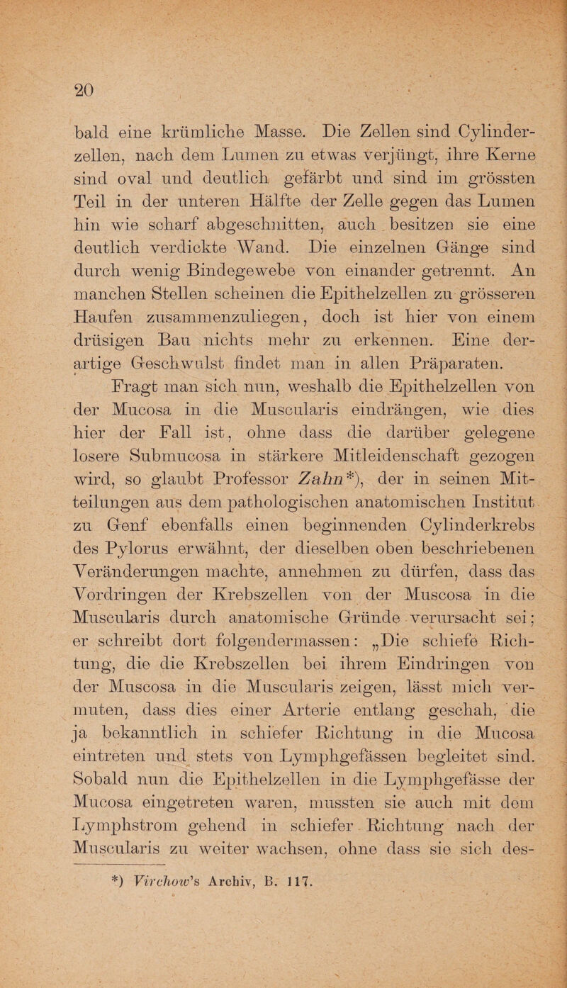 bald eine krümlicbe Masse. Die Zellen sind Cylinder- zellen, nach dem Lumen zu etwas verjüngt, ihre Kerne sind oval und deutlich gefärbt und sind im grössten Teil in der unteren Hälfte der Zelle gegen das Lumen hin wie scharf abgeschnitten, auch besitzen sie eine deutlich verdickte Wand. Die einzelnen Gänge sind durch wenig Bindegewebe von einander getrennt. An manchen Stellen scheinen die Epithelzellen zu grösseren Haufen zusammenzuliegen, doch ist hier von einem drüsigen Bau nichts mehr zu erkennen. Eine der¬ artige Geschwulst findet man in allen Präparaten. Fragt man sich nun, weshalb die Epithelzellen von der Mucosa in die Muscularis eindrängen, wie dies hier der Fall ist, ohne dass die darüber gelegene losere Submucosa in stärkere Mitleidenschaft gezogen wird, so glaubt Professor Zahn*), der in seinen Mit¬ teilungen aus dem pathologischen anatomischen Institut zu Genf ebenfalls einen beginnenden Oylinderkrebs des Pylorus erwähnt, der dieselben oben beschriebenen Veränderungen machte, annehmen zu dürfen, dass das Vordringen der Krebszellen von der Muscosa in die Muscularis durch anatomische Gründe verursacht sei; er schreibt dort folgendermassen: „Die schiefe Rich¬ tung, die die Krebszellen bei ihrem Eindringen von der Muscosa in die Muscularis zeigen, lässt mich ver¬ muten, dass dies einer Arterie entlang geschah, die ja bekanntlich in schiefer Richtung in die Mucosa eintreten und stets von Lymphgefässen begleitet sind. Sobald nun die Epithelzellen in die Lymphgefässe der Mucosa eingetreten waren, mussten sie auch mit dem Lymphstrom gehend in schiefer Richtung nach der Muscularis zu weiter wachsen, ohne dass sie sich des- *) Virchow's Archiv, B. 117.